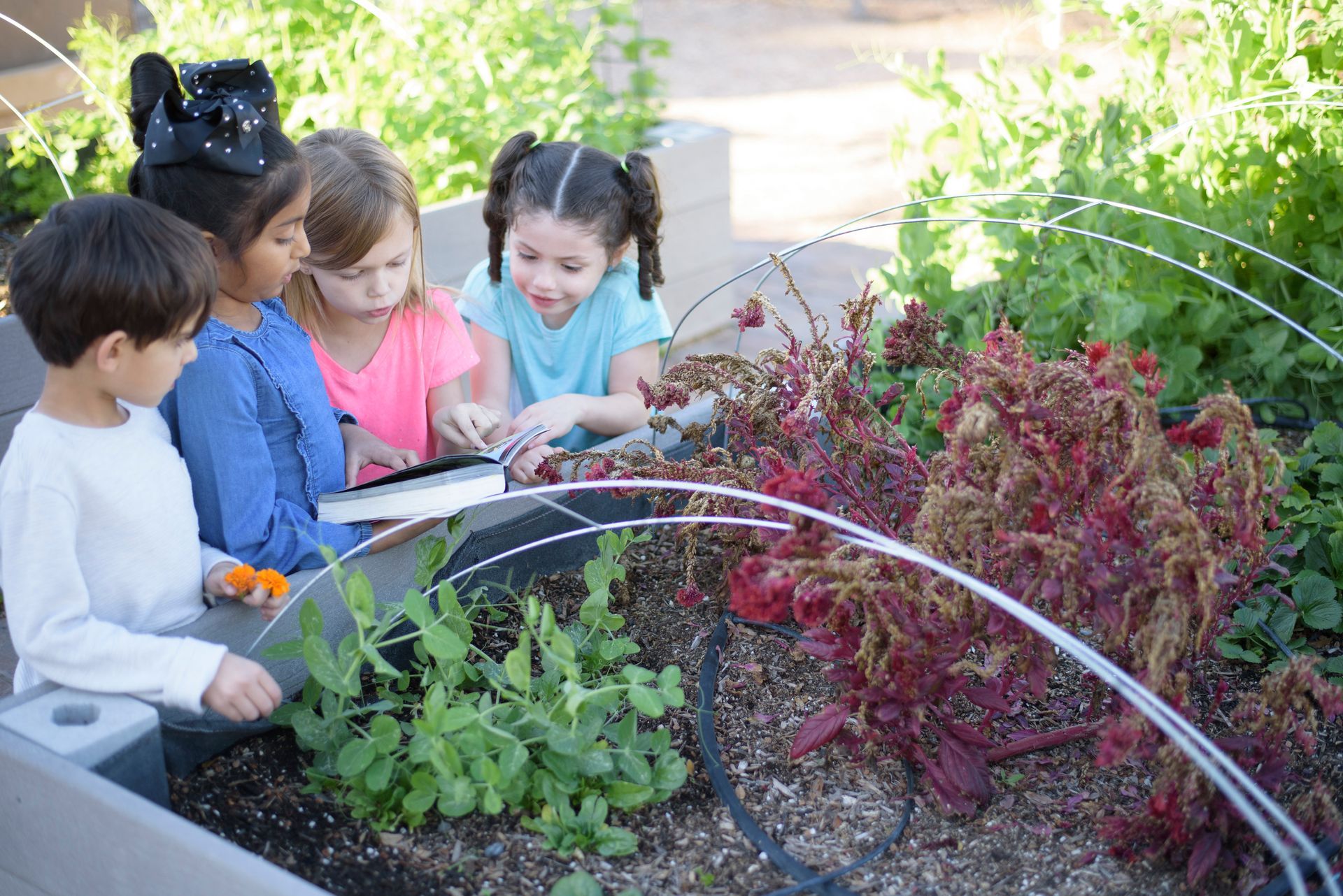 Montessori children working in the garden 