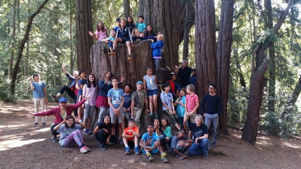 A large group of elementary students and chaperones pose together playfully on and around a massive redwood tree stump during an outdoor nature field trip.