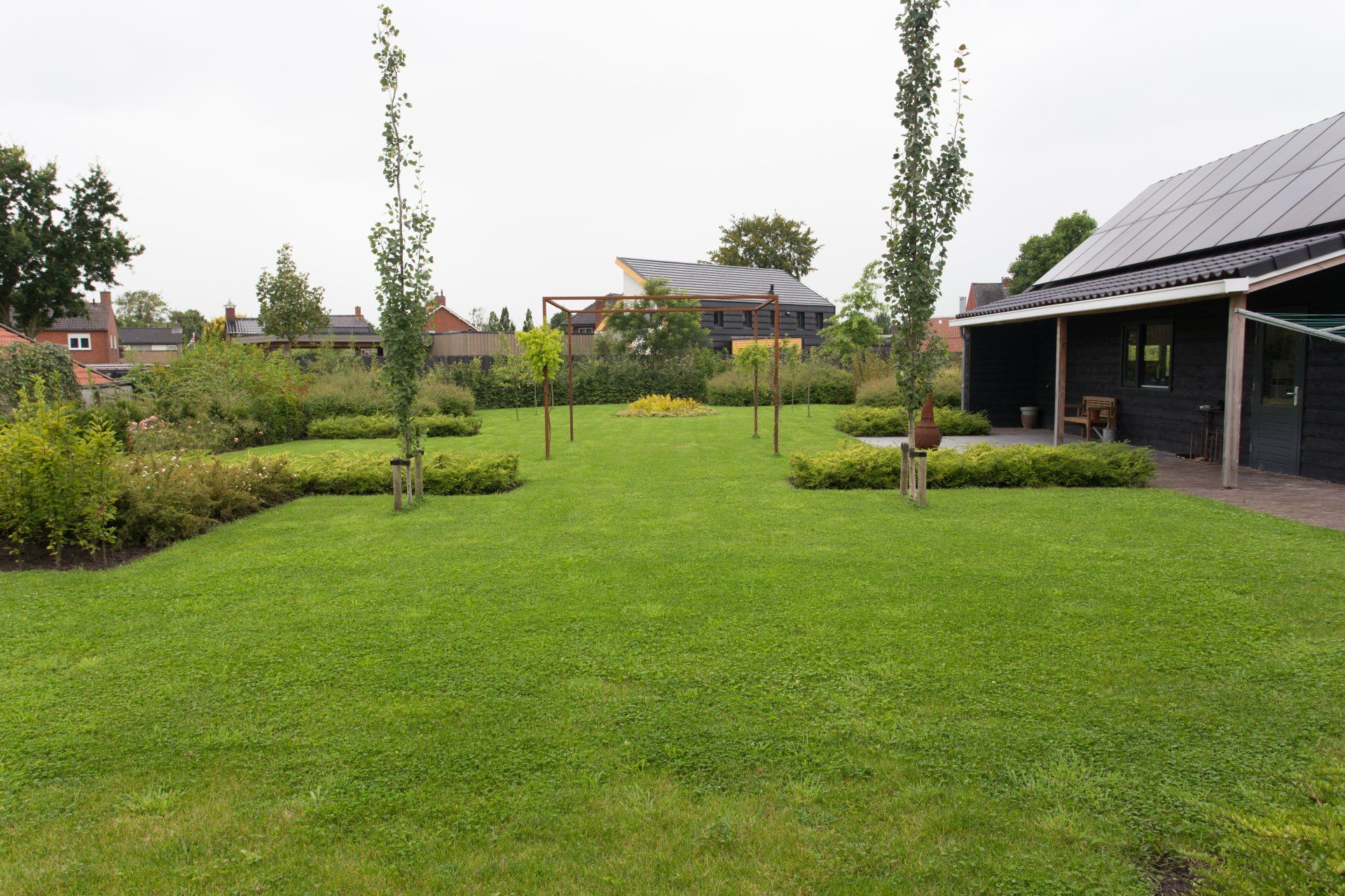 achtertuin in Bedum met populus tremula erecta en klimconstructie met wisteria KTK Kolk Tuinontwerp en Groenadvies
