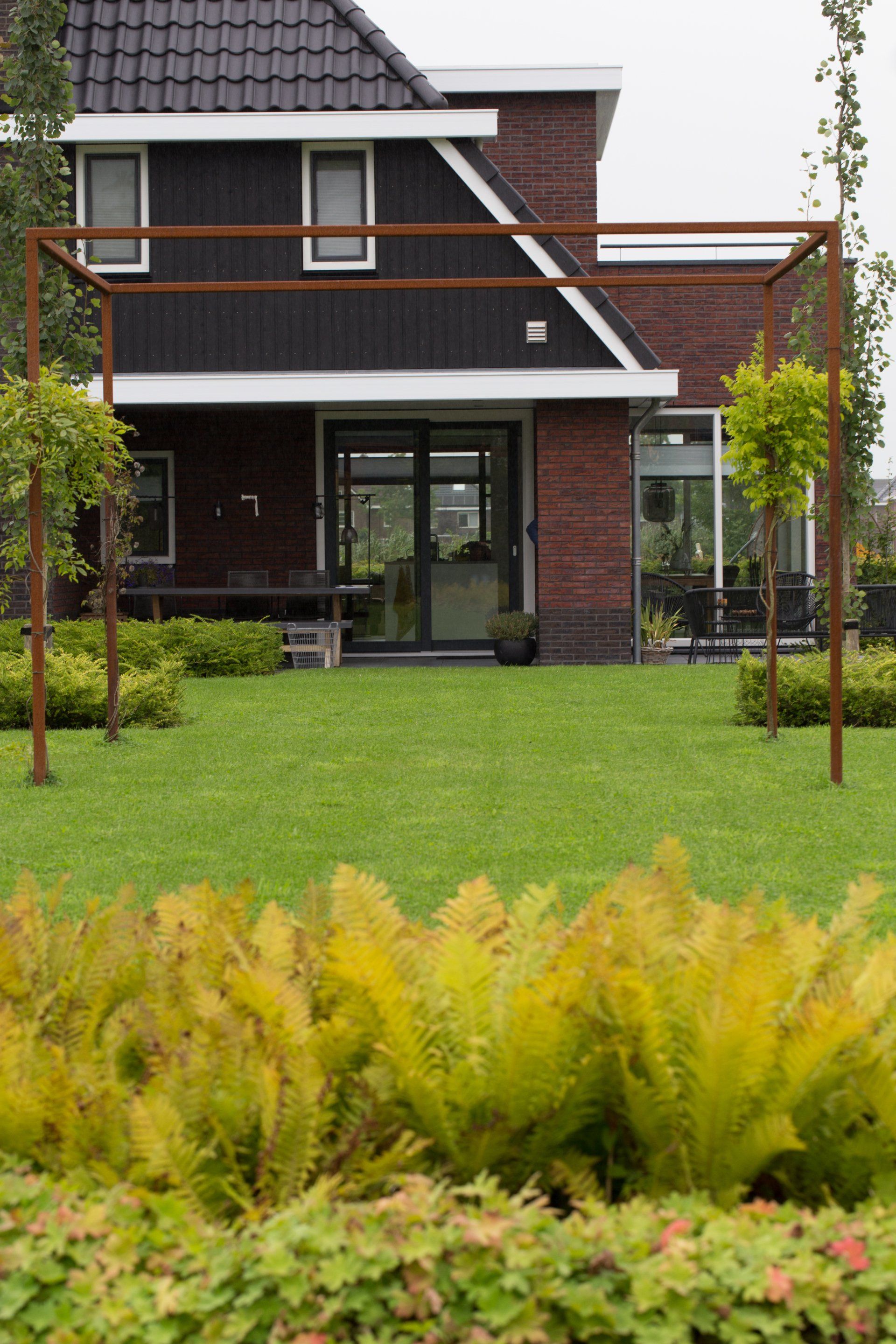 achtertuin in Bedum op de voorgrond varens met populus tremula erecta en klimconstructie met wisteria KTK Kolk Tuinontwerp en Groenadvies