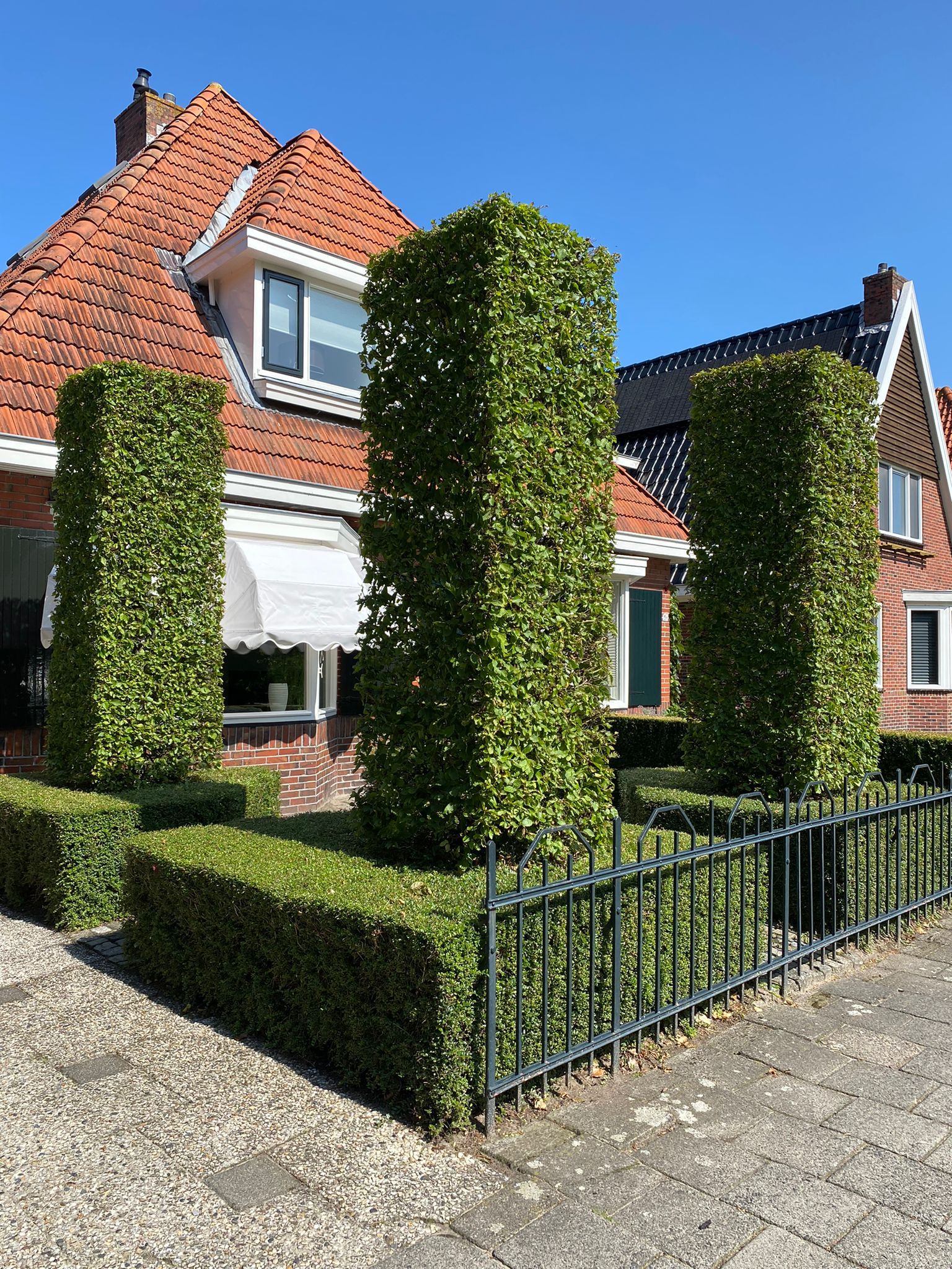 voortuin met zuilheggen KTK Kolk Tuinontwerp en Groenadvies