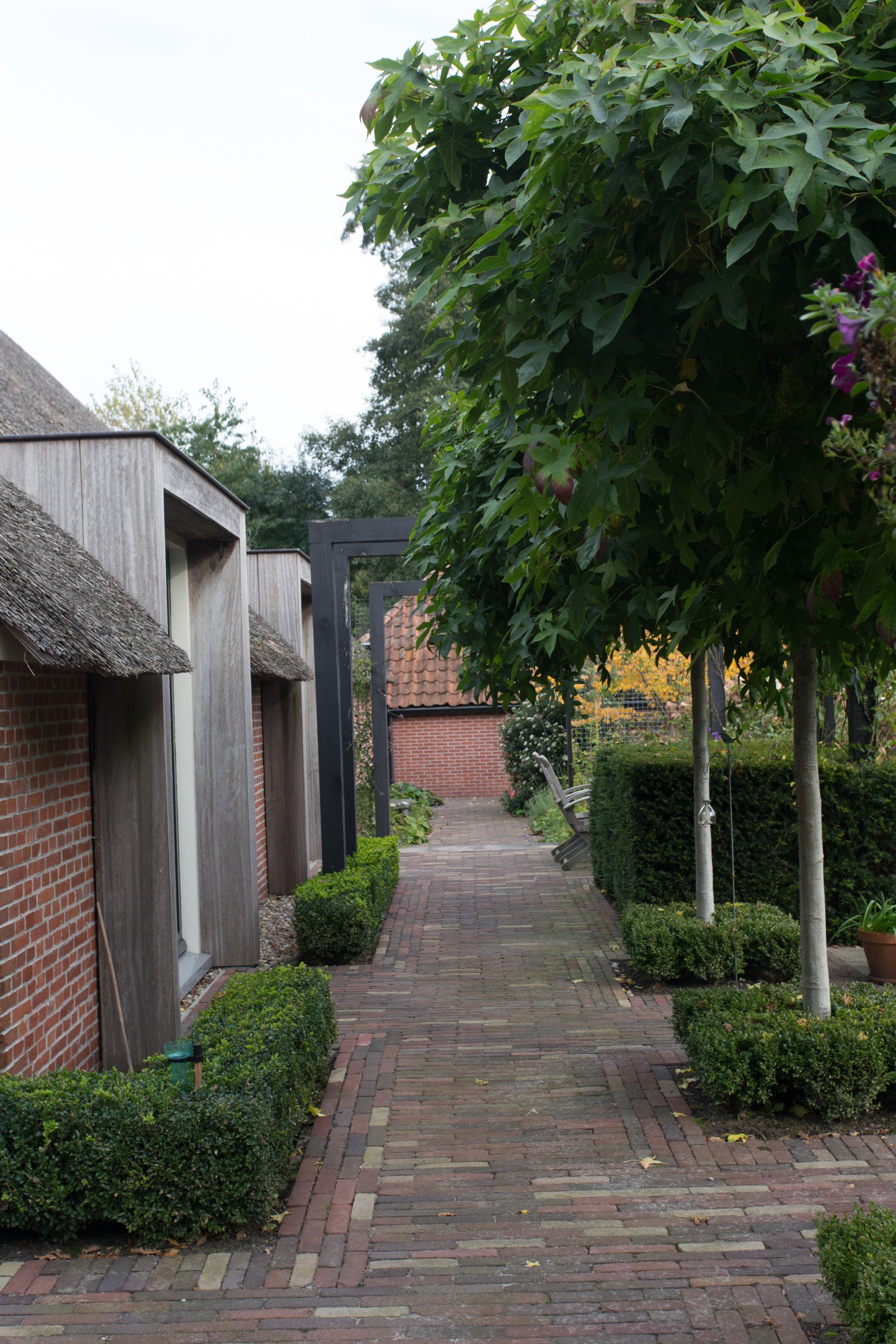 terras Boerderijtuin Roden KTK Kolk Tuinontwerp en Groenadvies