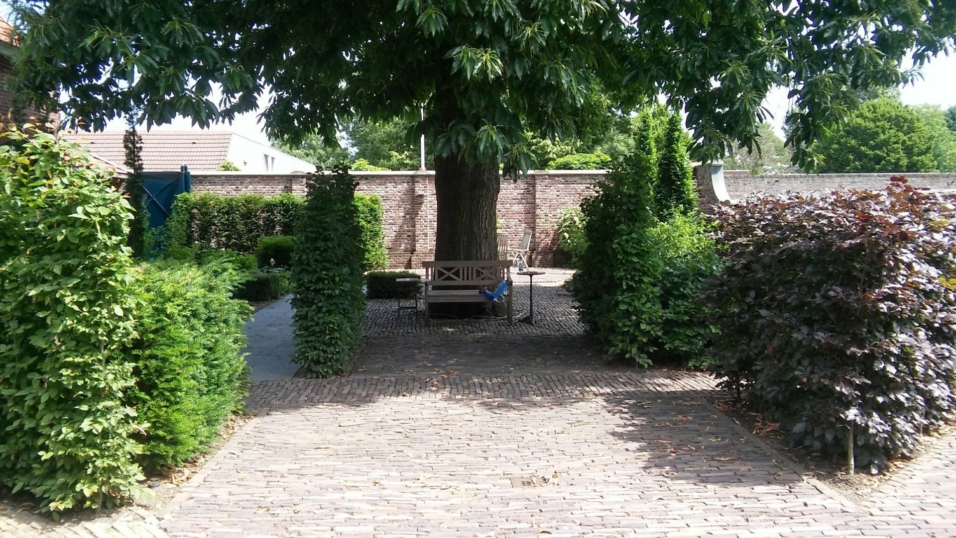 zitplek om boom Huize Marie Louise in RoermondKTK Tuinontwerp en Groenadvies