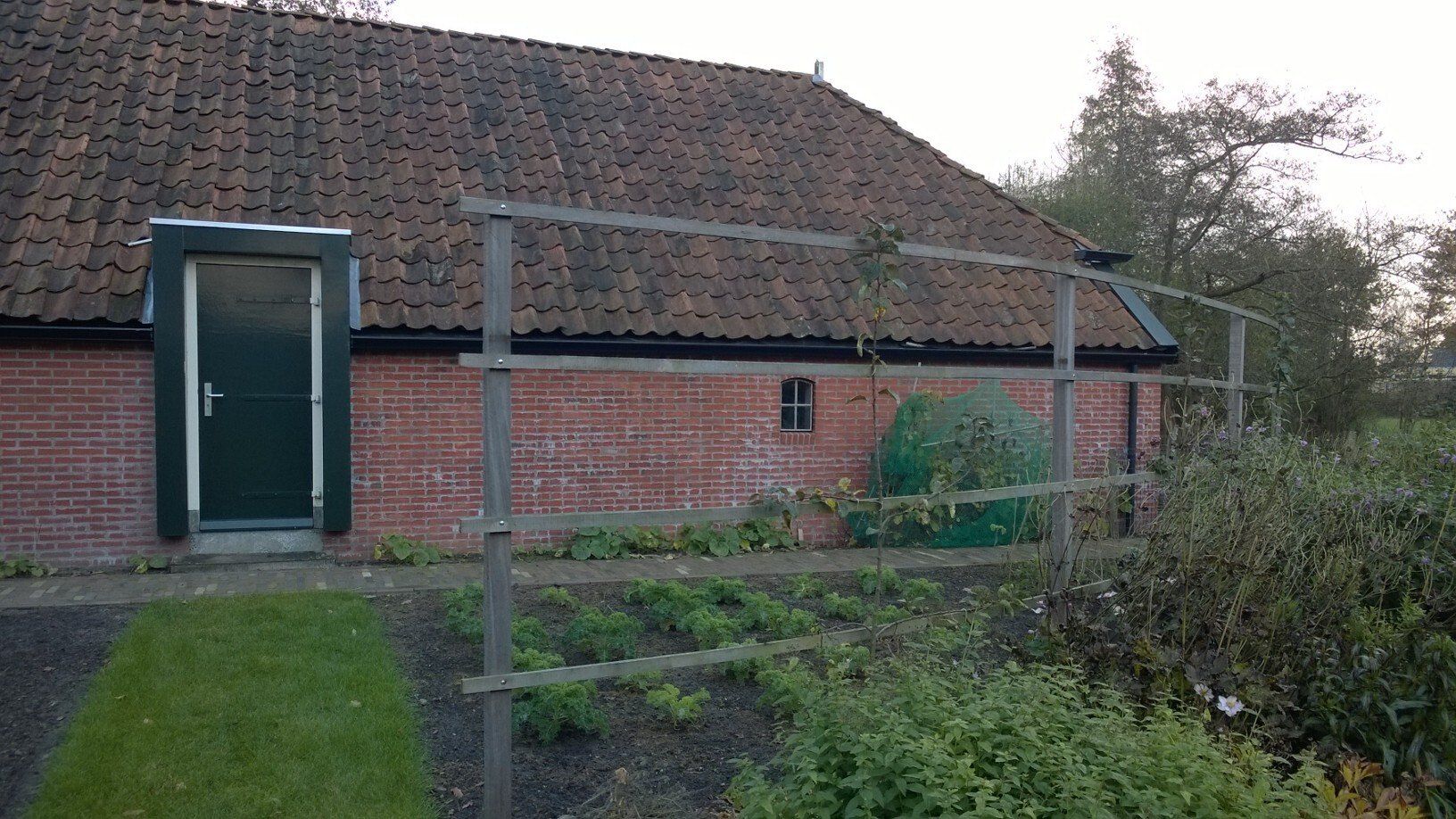 klimplant constructie Boerderijtuin Roden KTK Kolk Tuinontwerp en Groenadvies