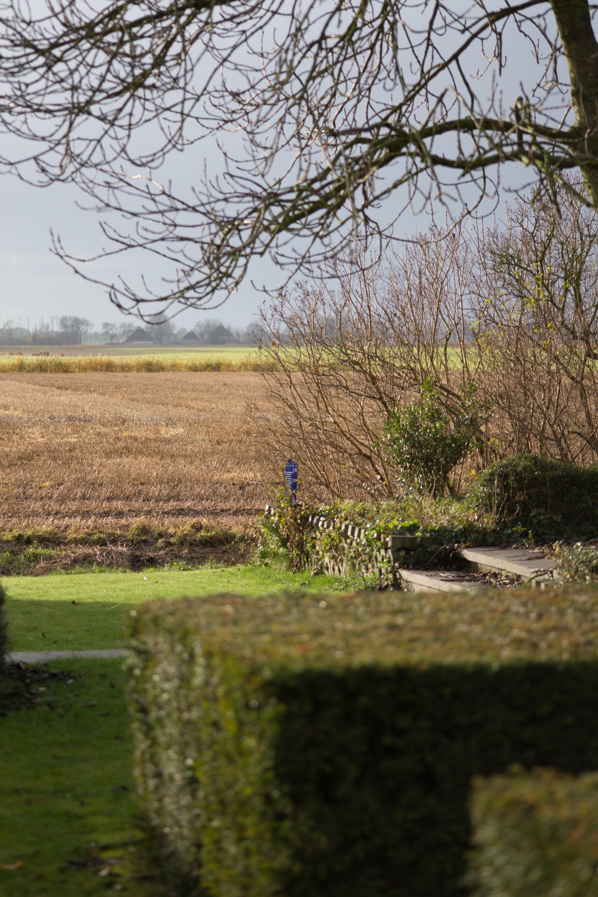 achtertuin in Molenrij in de winter KTK Kolk Tuinontwerp en Groenadvies
