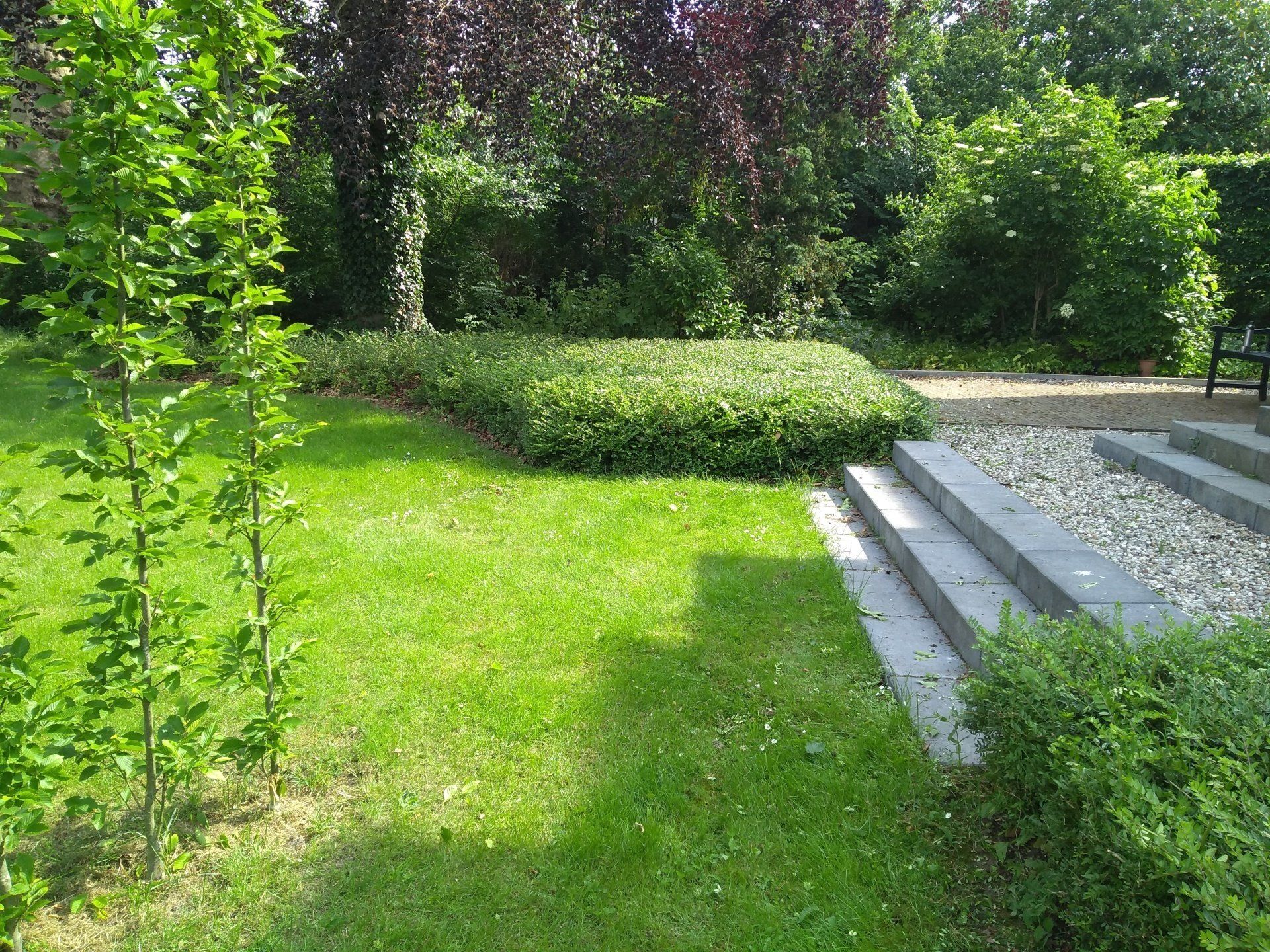 voortuin in Loppersum met trappartij KTK Kolk Tuinontwerp en Groenadvies
