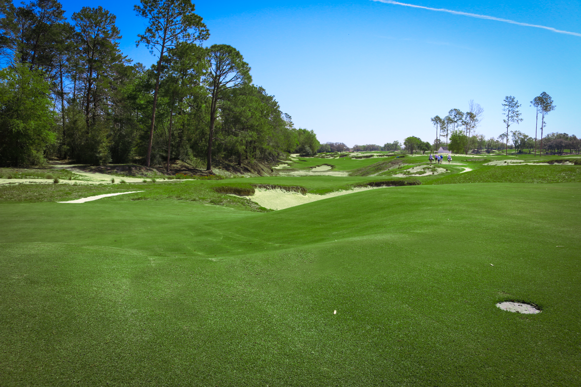 Sod Wholesale — Golf Grass Field in Hastings, FL