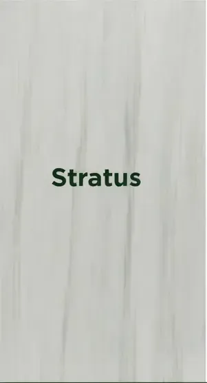 Dark green word “Stratus” on a light gray textured background