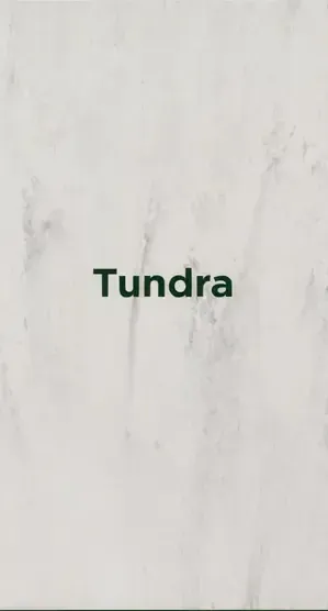 The word “Tundra” in dark text on a light marble-like background.