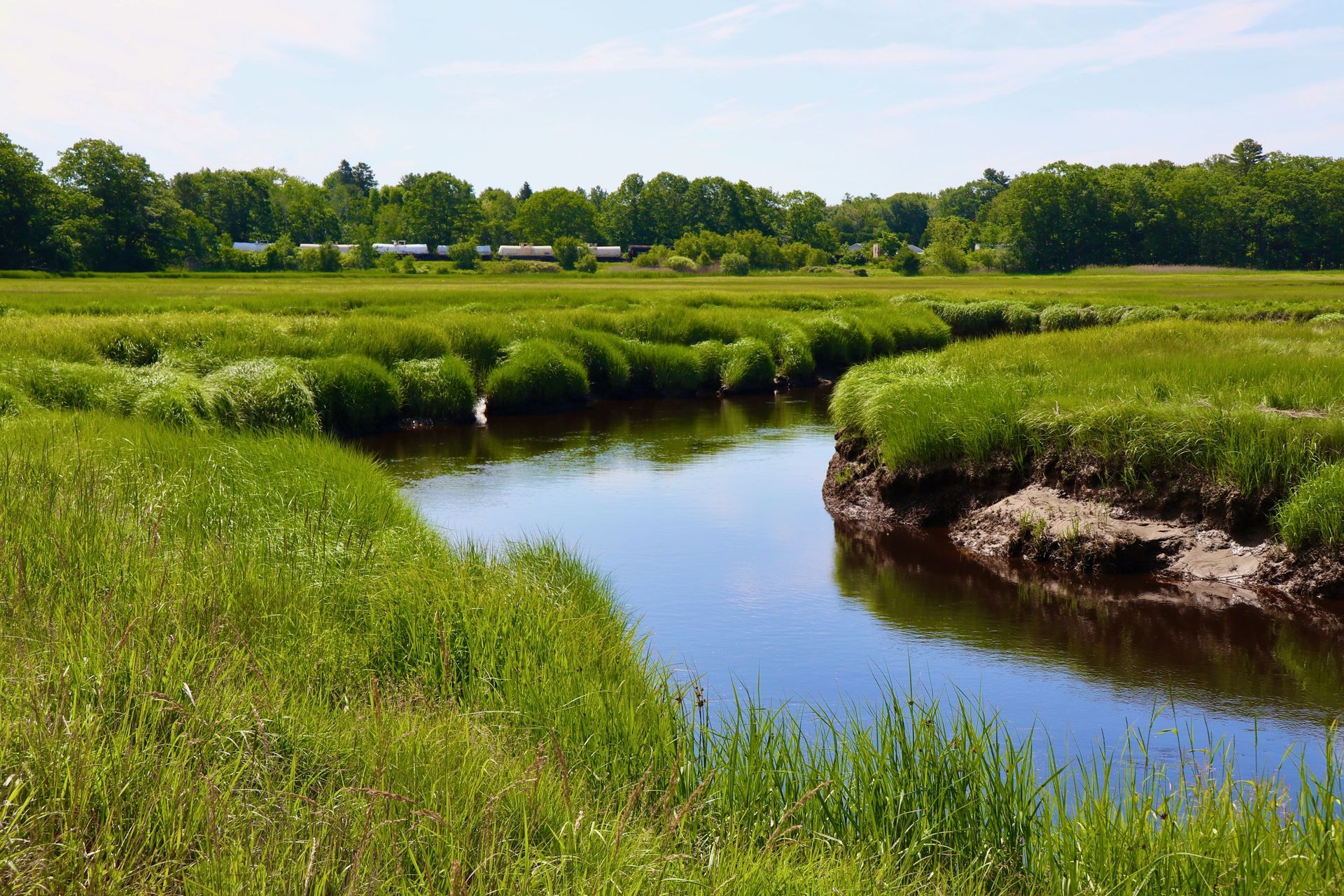  Marsh Scene with Train in Scarborough Maine                              
