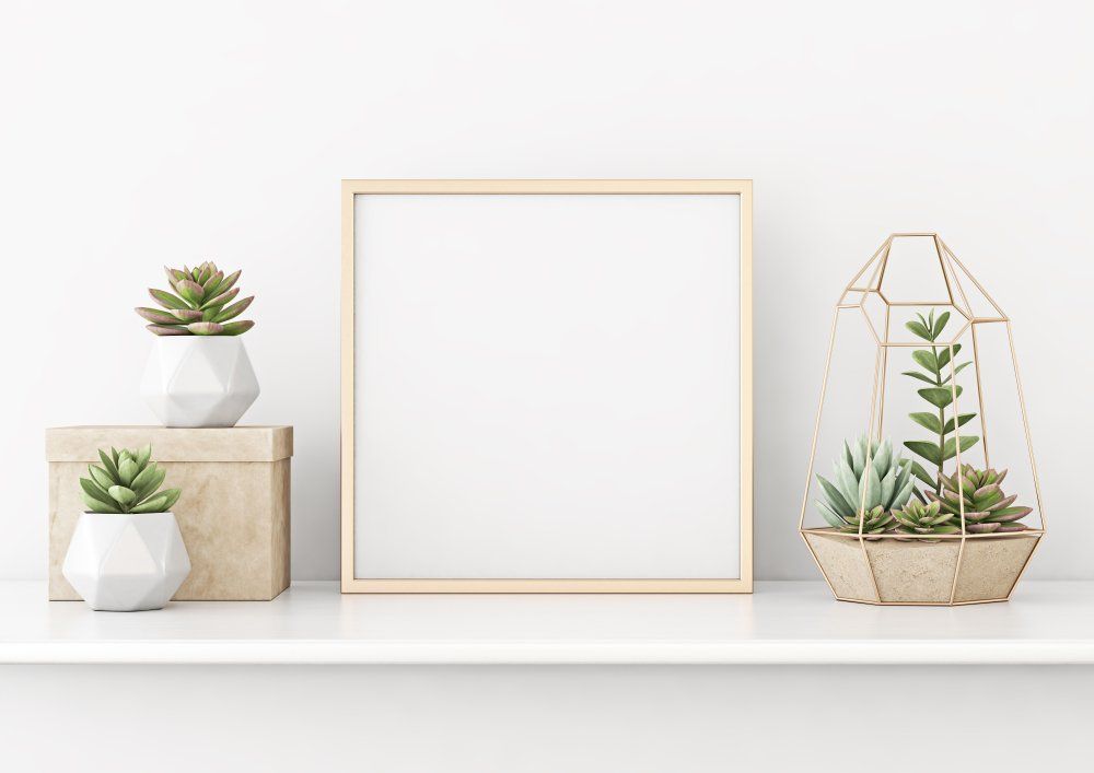 Picture Frame and plants - Haradeco Panels in Albury, NSW