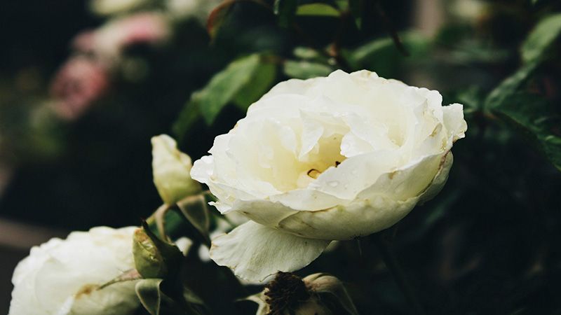 Huber Funeral Home | Tell City, IN