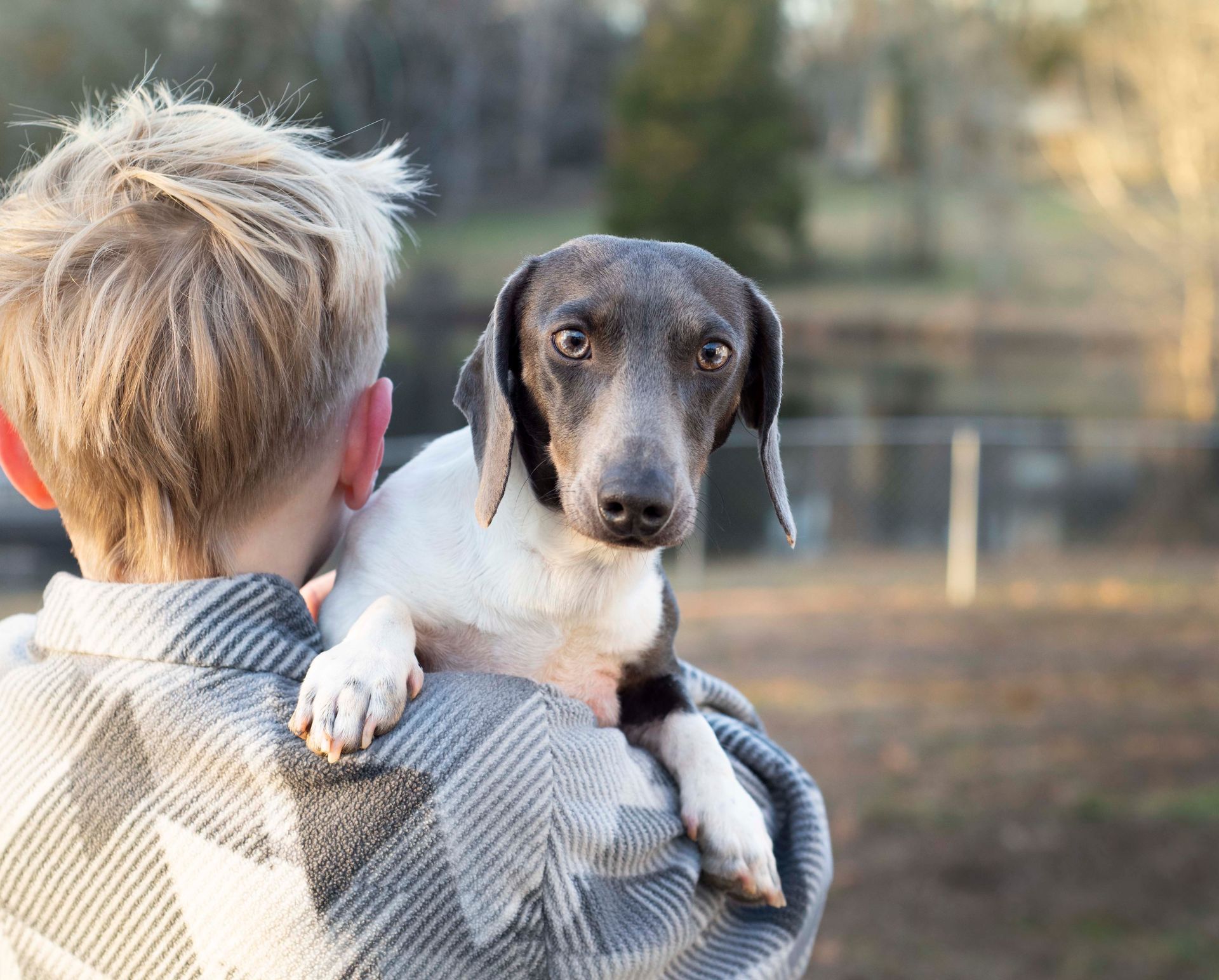 Woman with long brown hair gently pets a small brown and black dachshund puppy indoors.