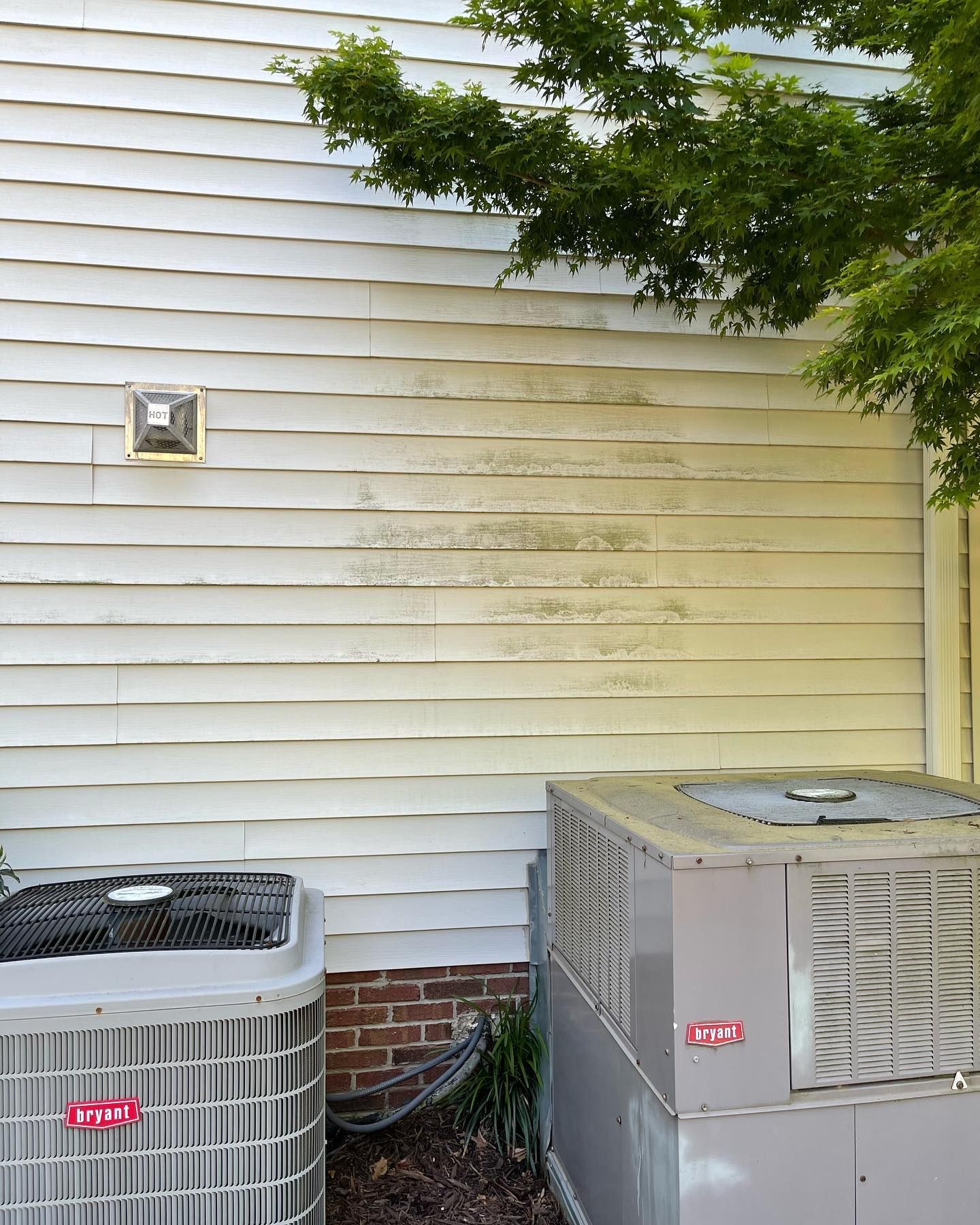 Before - mold on siding