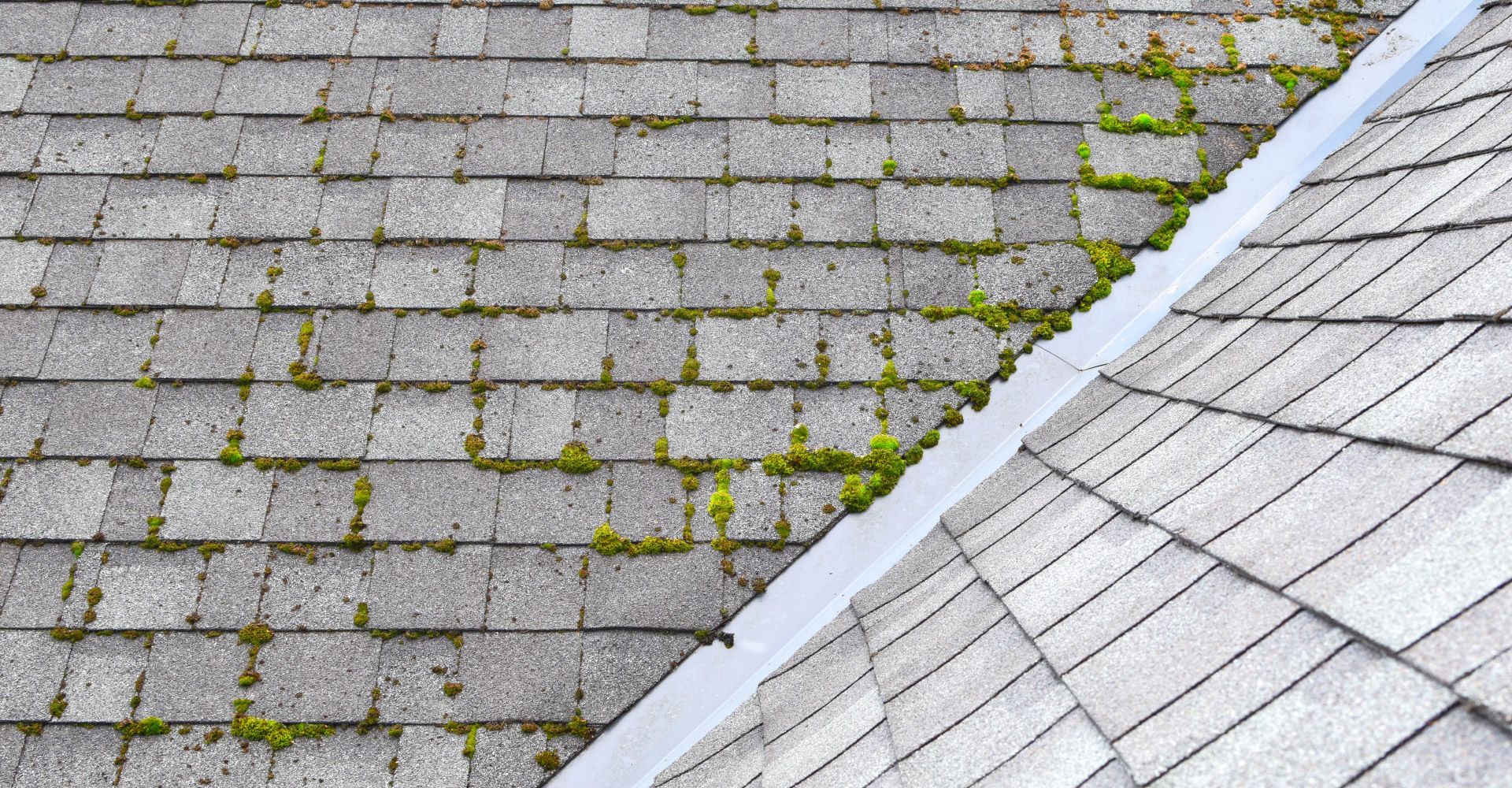 Roof Soft Washing