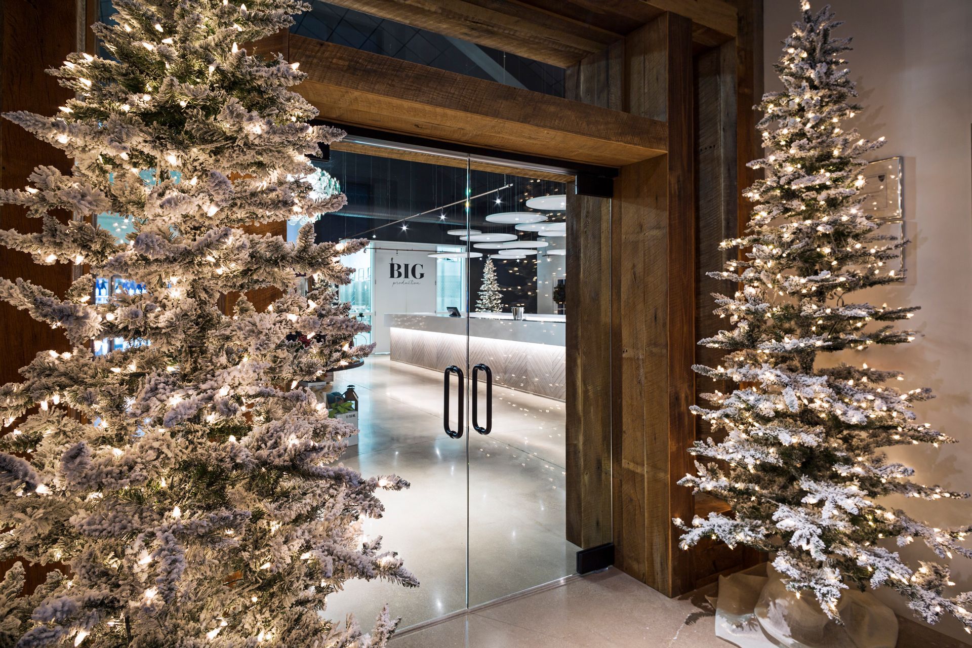 Two christmas trees are sitting in front of a glass door.
