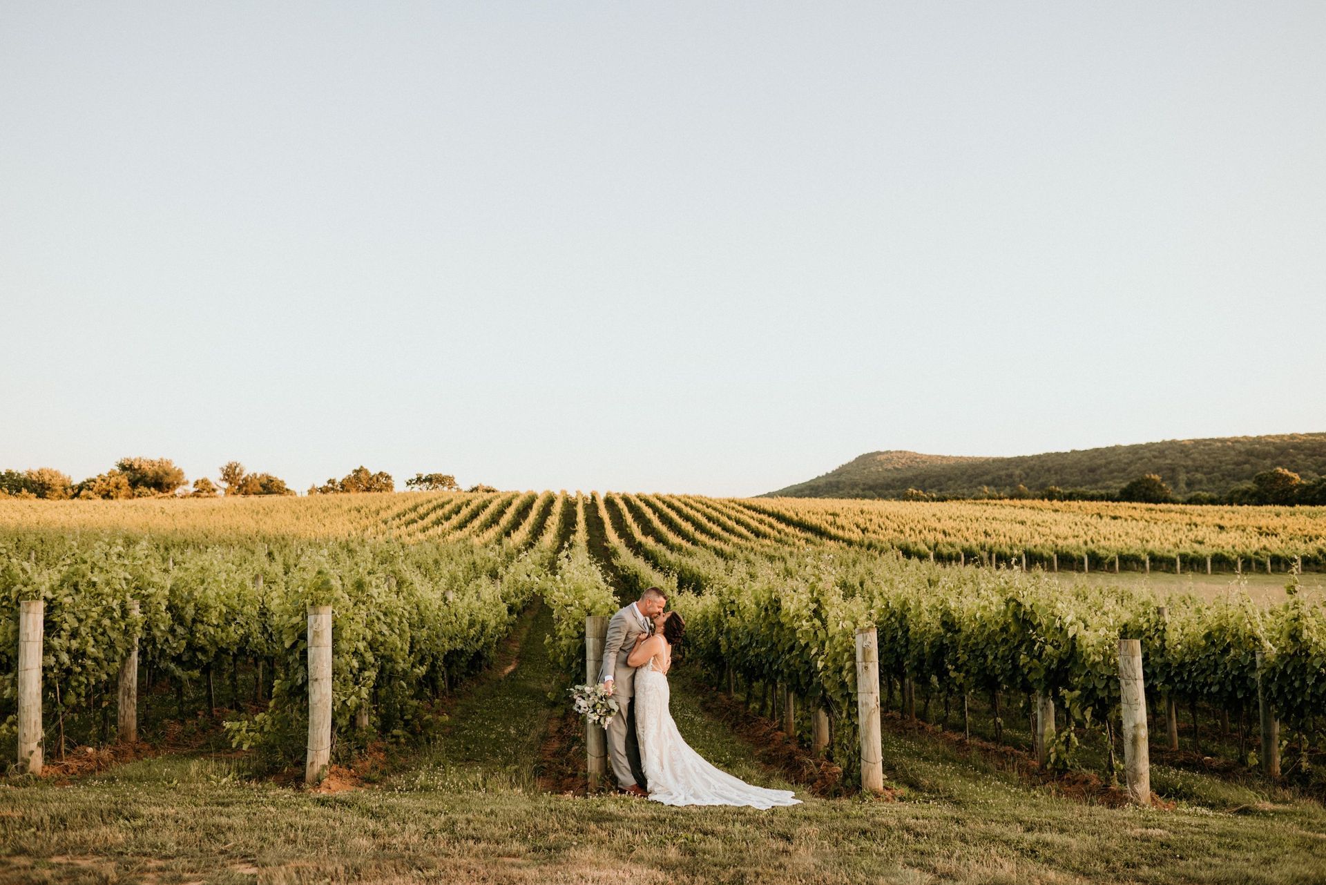 A bride and groom are kissing in a vineyard.