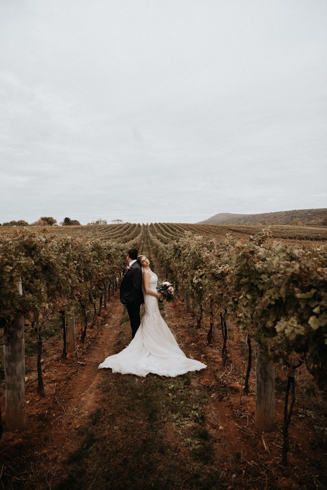 A bride and groom are kissing in a vineyard.