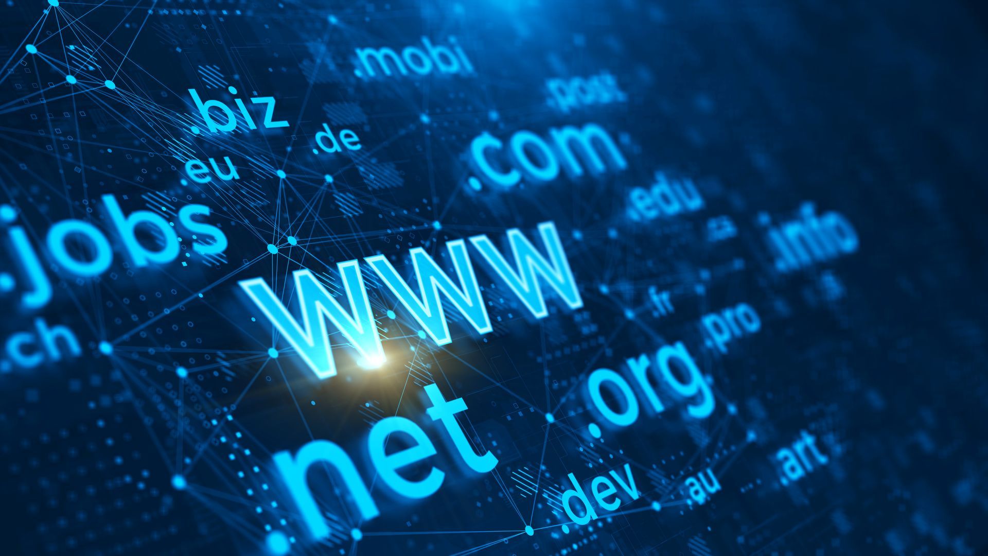 A computer screen with the word www in the middle