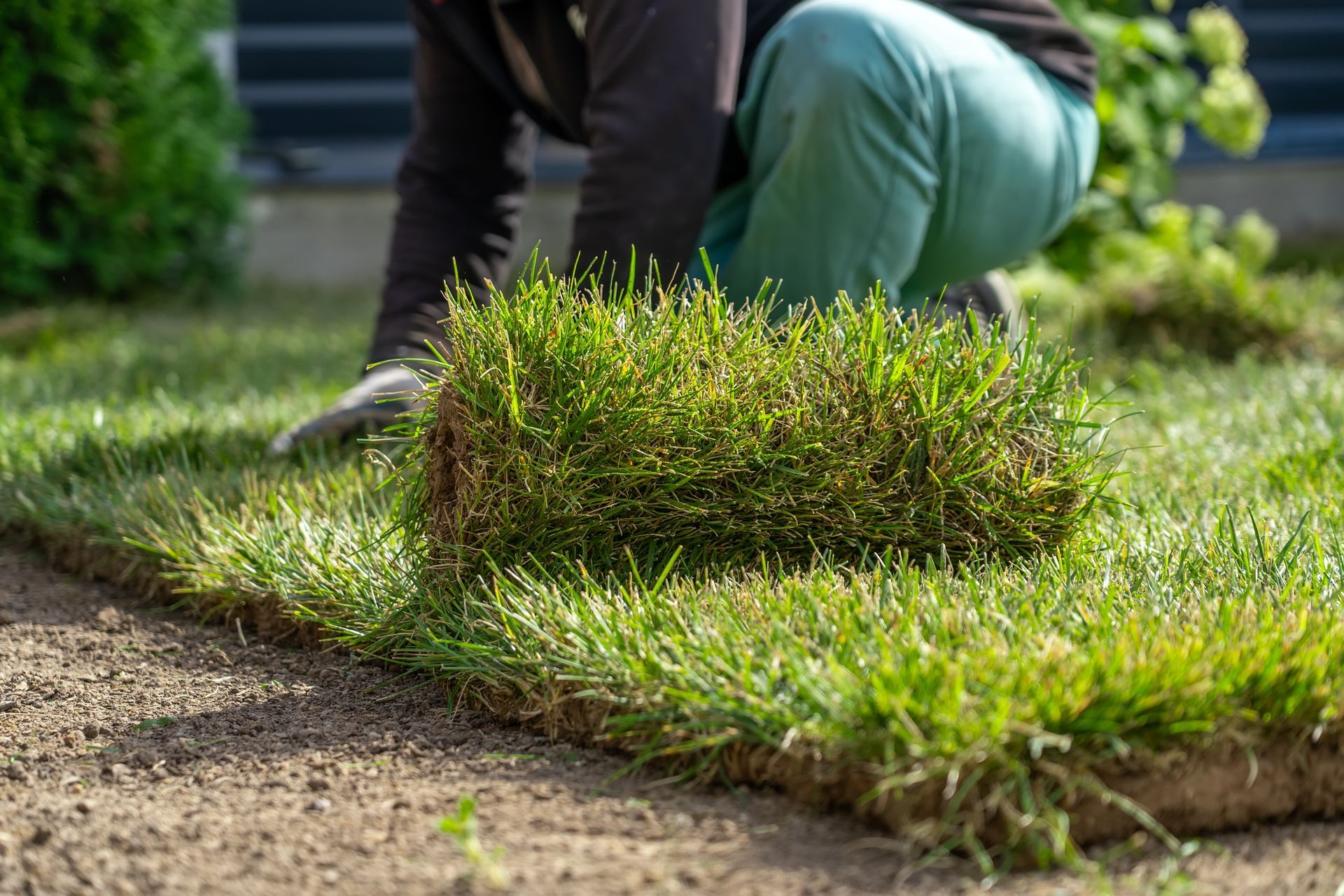 Grading and Sodding Services