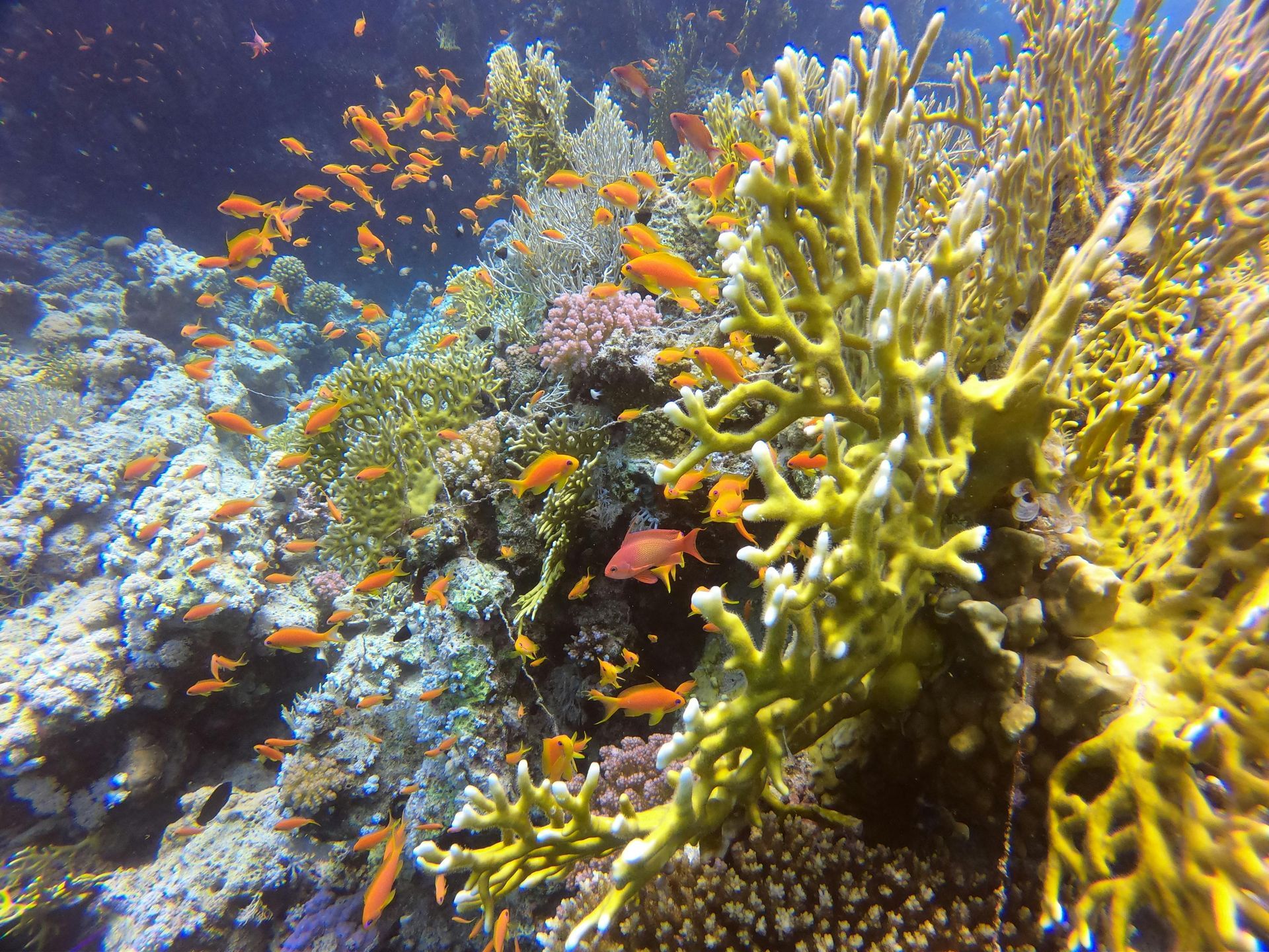 6 Day Egypt Holiday Package Visit Cairo and Hurghada