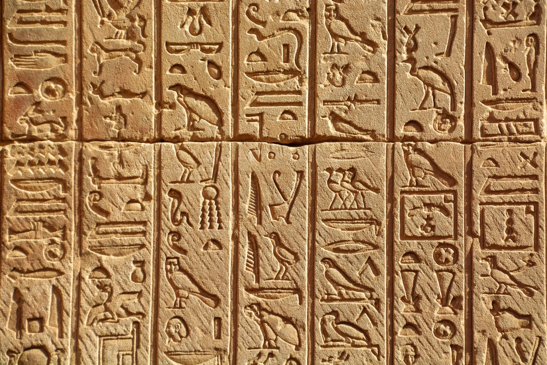 Tour guide you need while you visit Egypt Tour guide you need while you visit Egypt