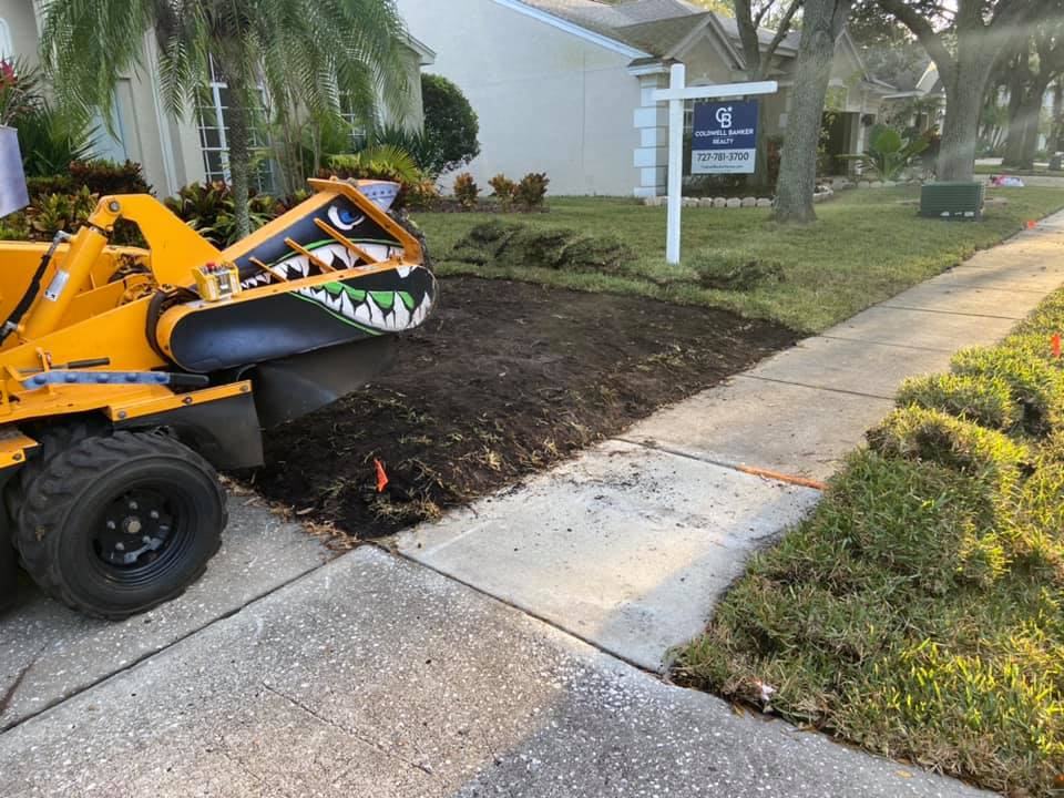 A yellow stump grinder grinding a tree stump next to a sidewalk in a residential yard.
