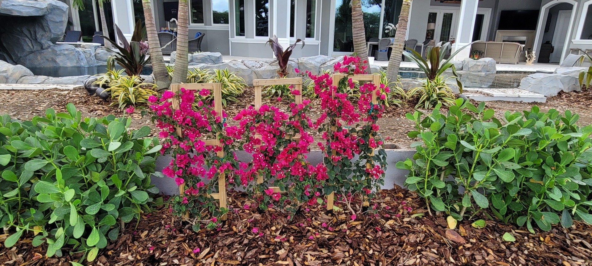 Landscaping | Land O Lakes, FL | Stumped up