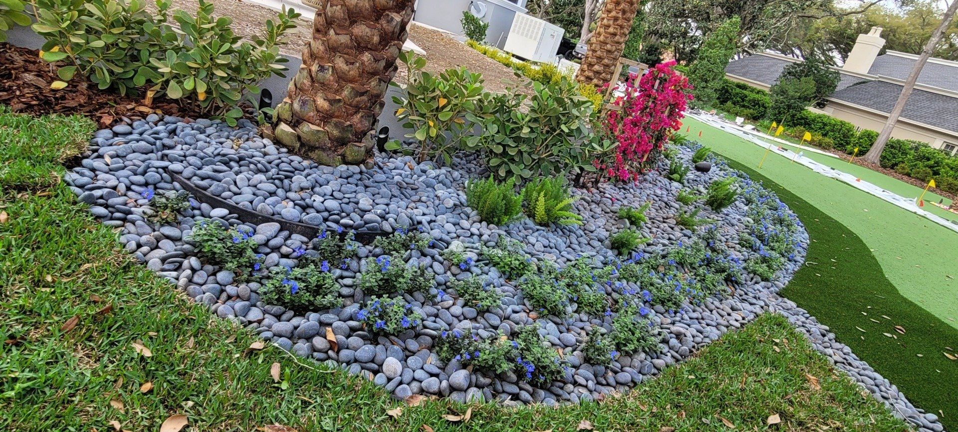 Garden bed with black rocks, green plants, palm tree, and a hint of a building in the background.