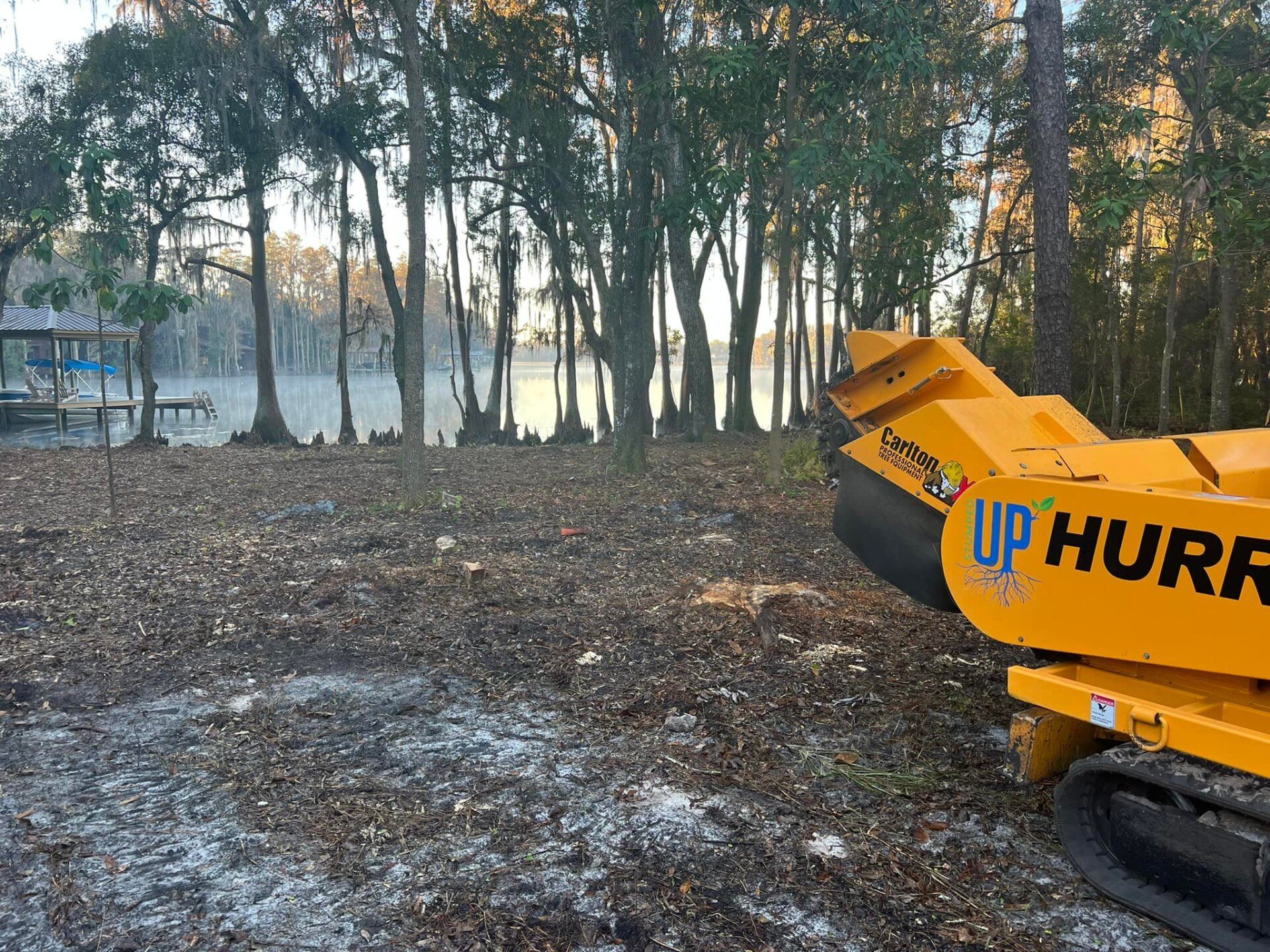 Land Clearing | Land O Lakes, FL | Stumped Up