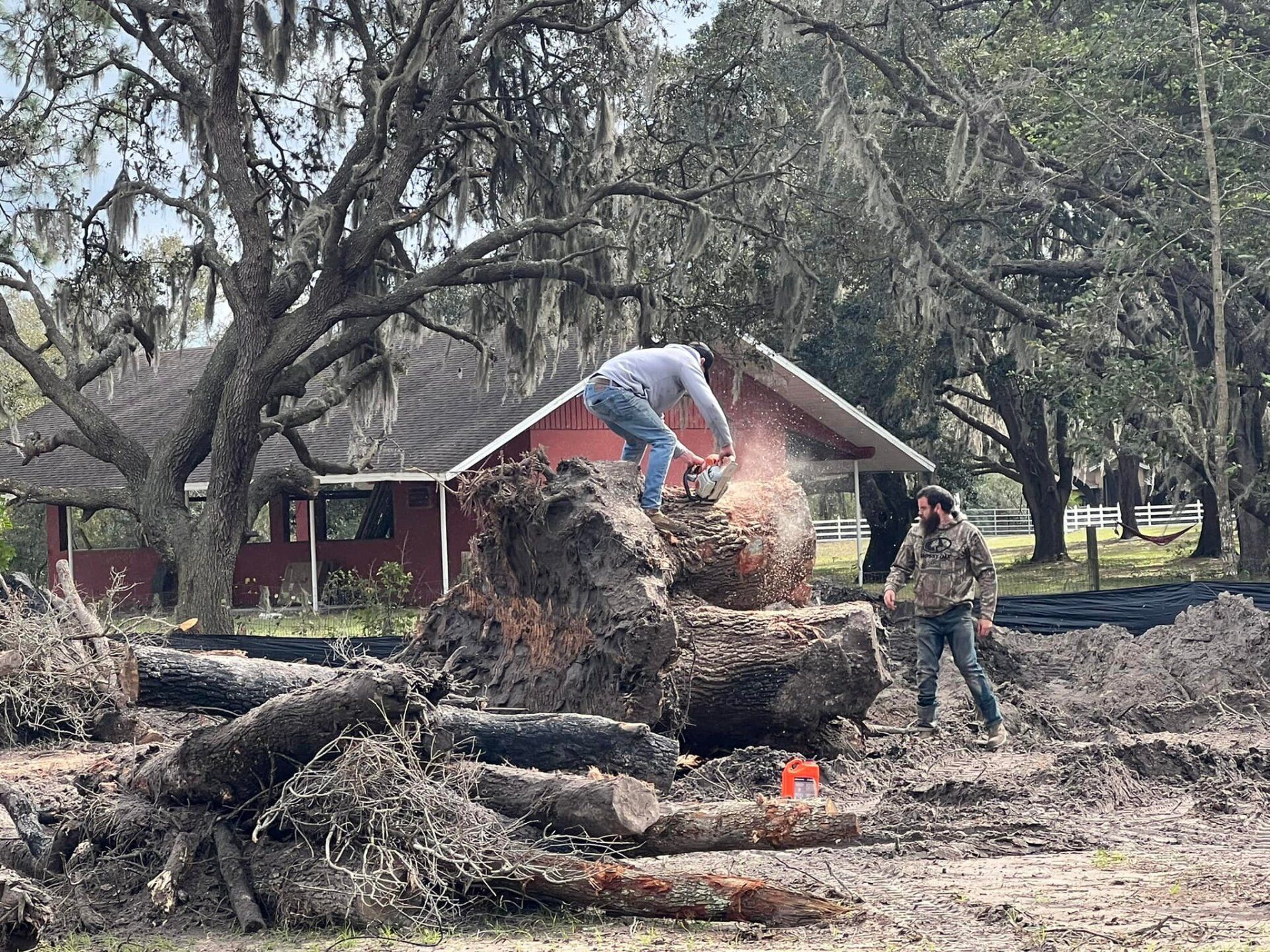 Two men cutting a log with a chainsaw near a red building, surrounded by felled trees and debris.