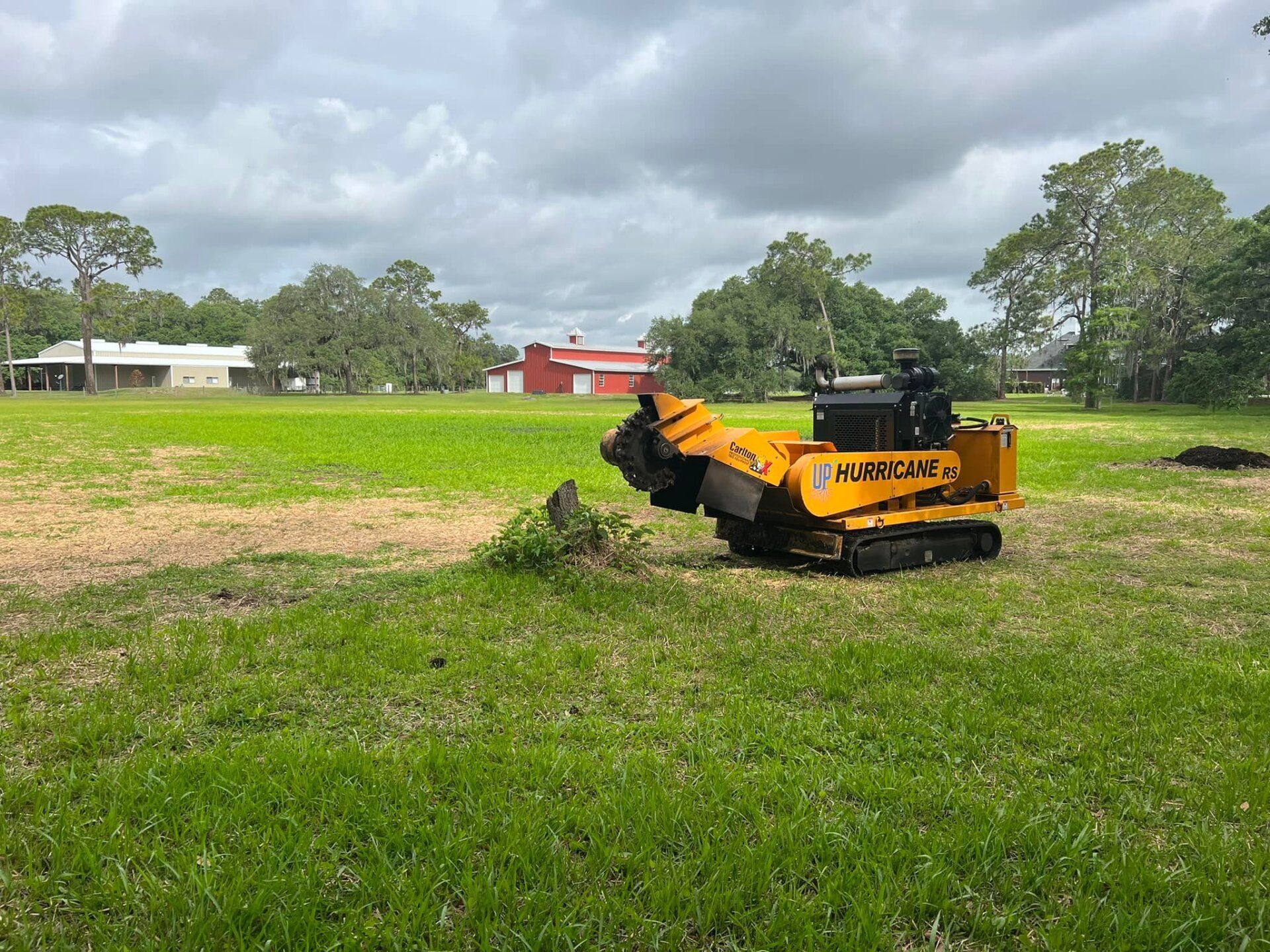 Yellow stump grinder grinding a tree stump in a grassy field, with houses and a red barn in the background.