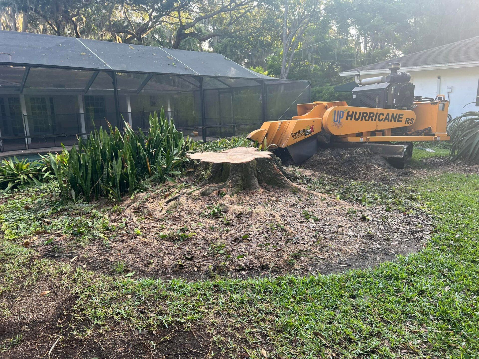 Stump Grinding | Land O Lakes, FL | Stumped Up