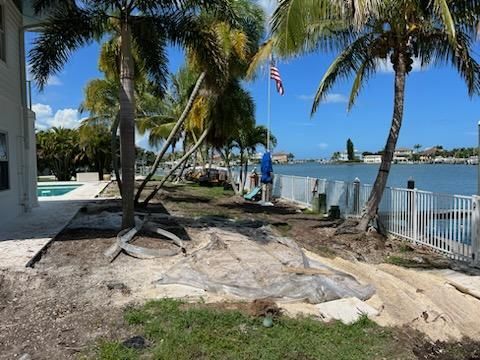 Before Landscaping | Land O Lakes, FL | Stumped Up