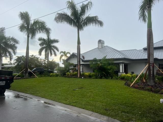 After Landscaping | Land O Lakes, FL | Stumped Up