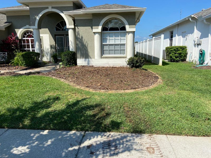 Stump removal | Land O Lakes, FL | Stumped Up
