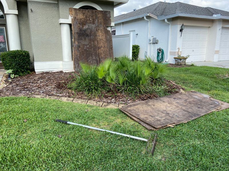 Stump | Land O Lakes, FL | Stumped Up