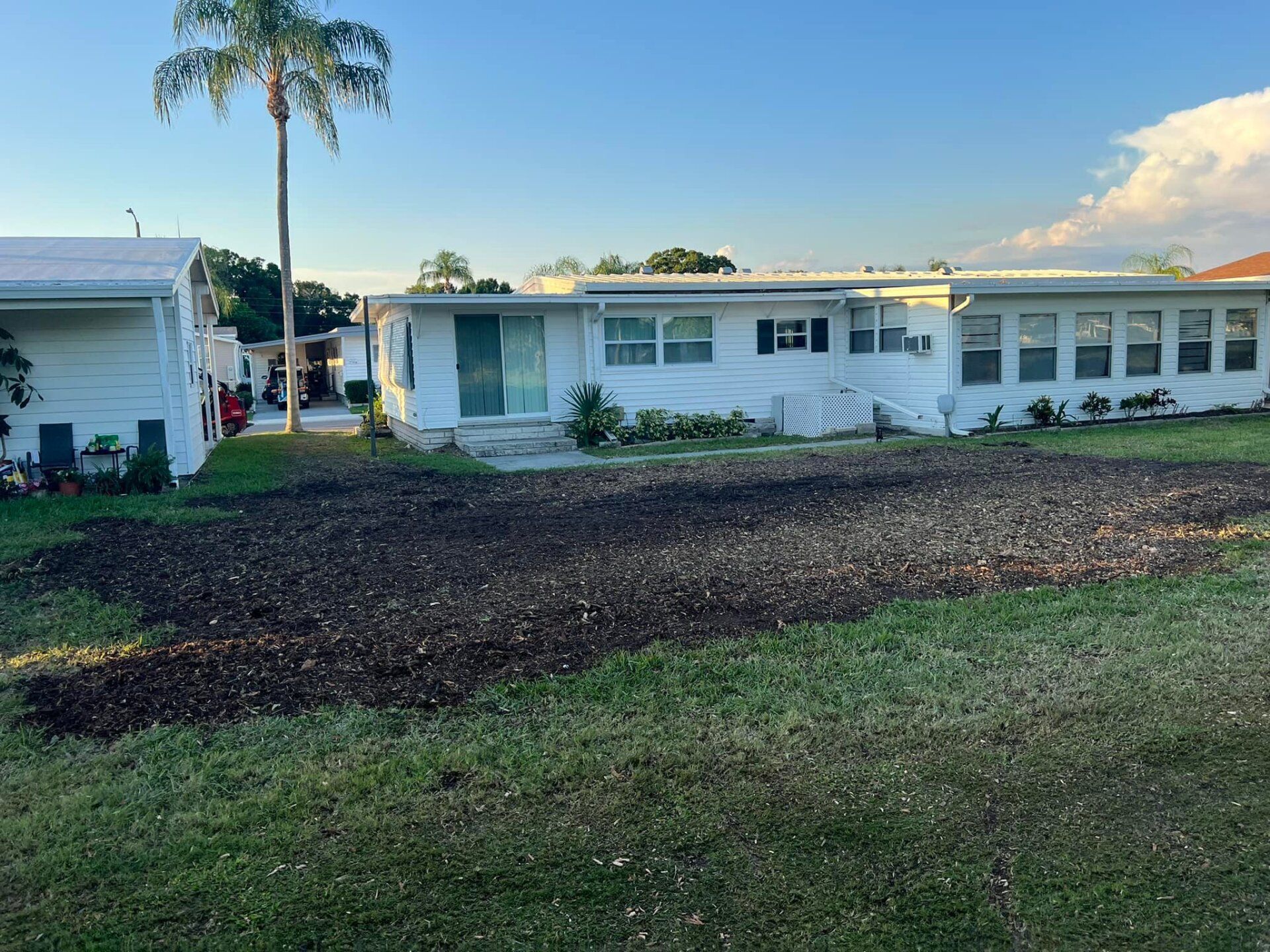 Stump removal | Land O Lakes, FL | Stumped Up