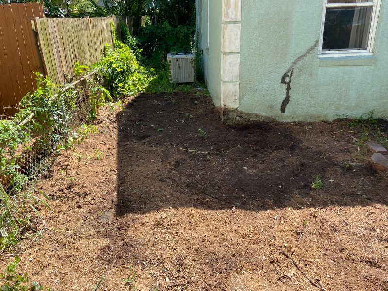Stump removal | Land O Lakes, FL | Stumped Up
