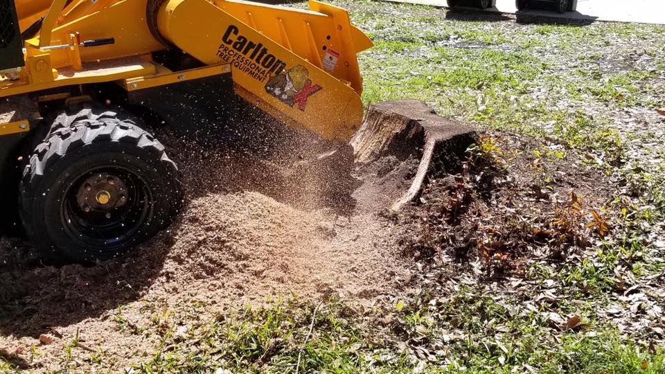 Stump Removal | Land O Lakes, FL | Stumped Up