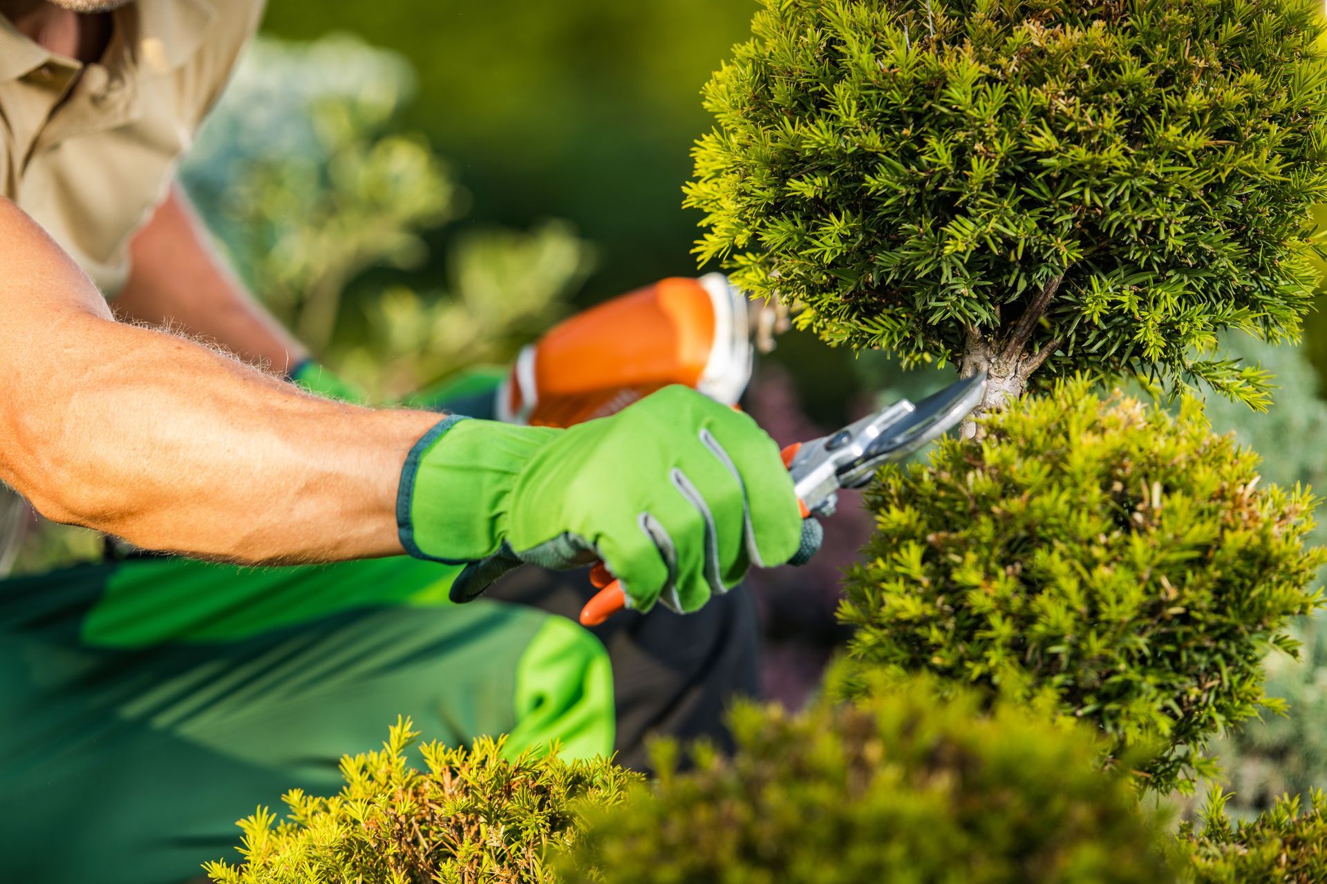 lawncare services hanover, pa