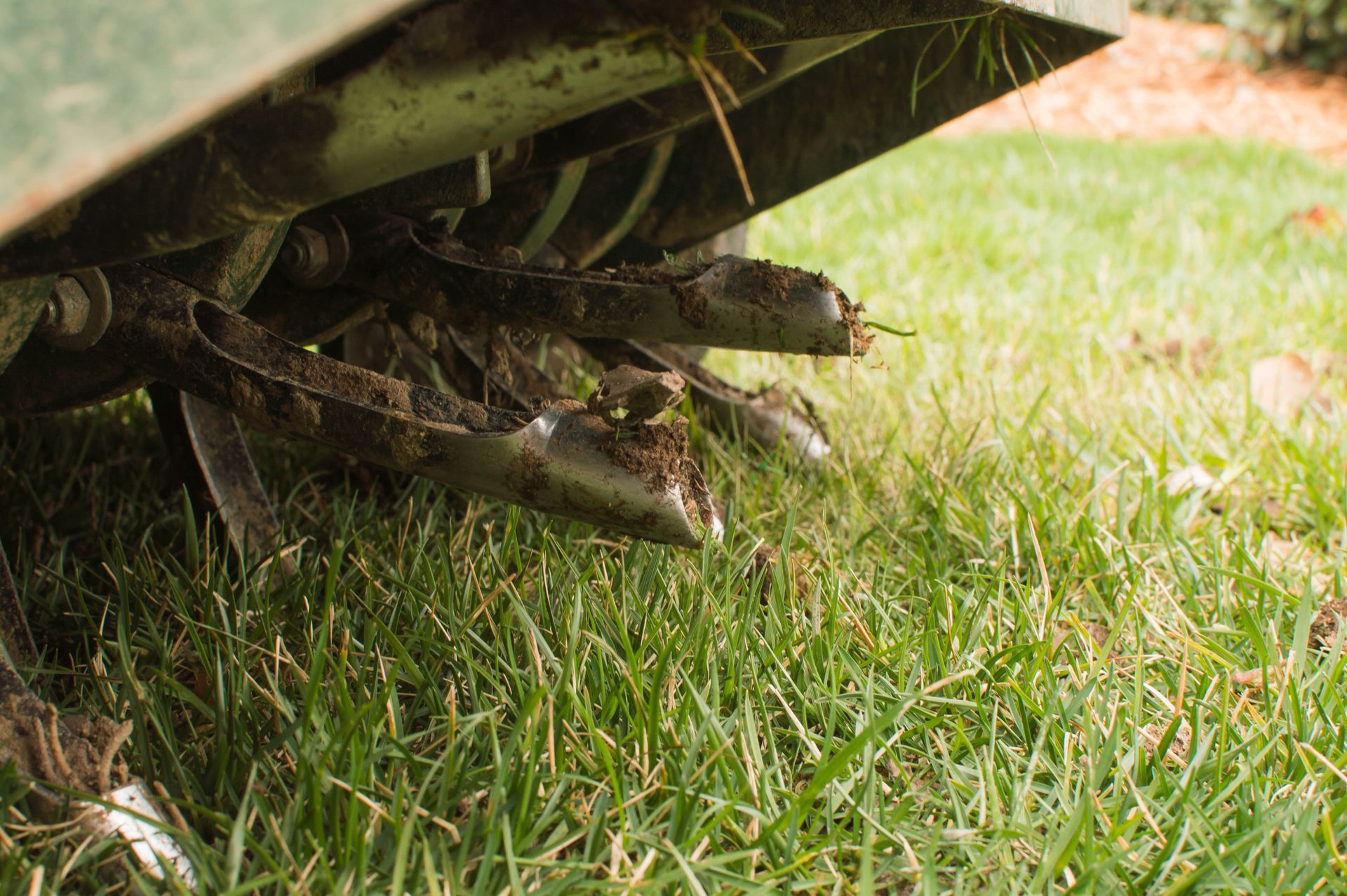 Lawn Aeration Near Me