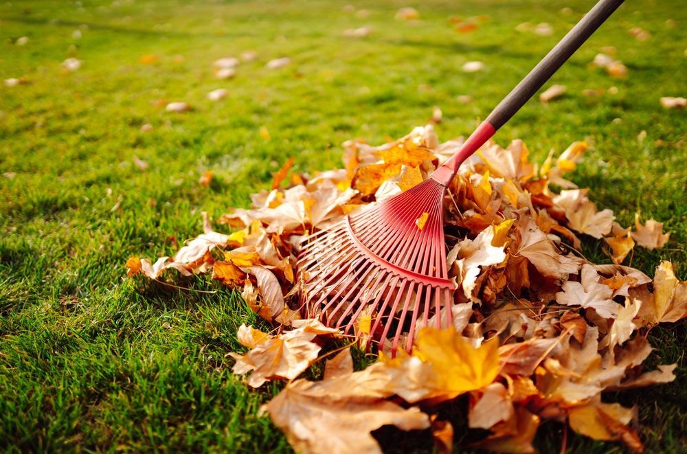 A red rake gathering a pile of fallen autumn leaves on a green lawn.