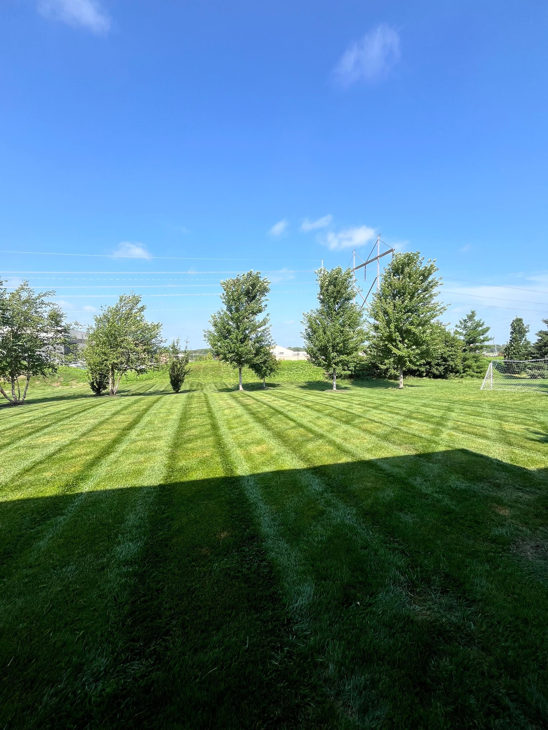 A Yellow and Black Lawn Mower is Cutting a Lush Green Lawn