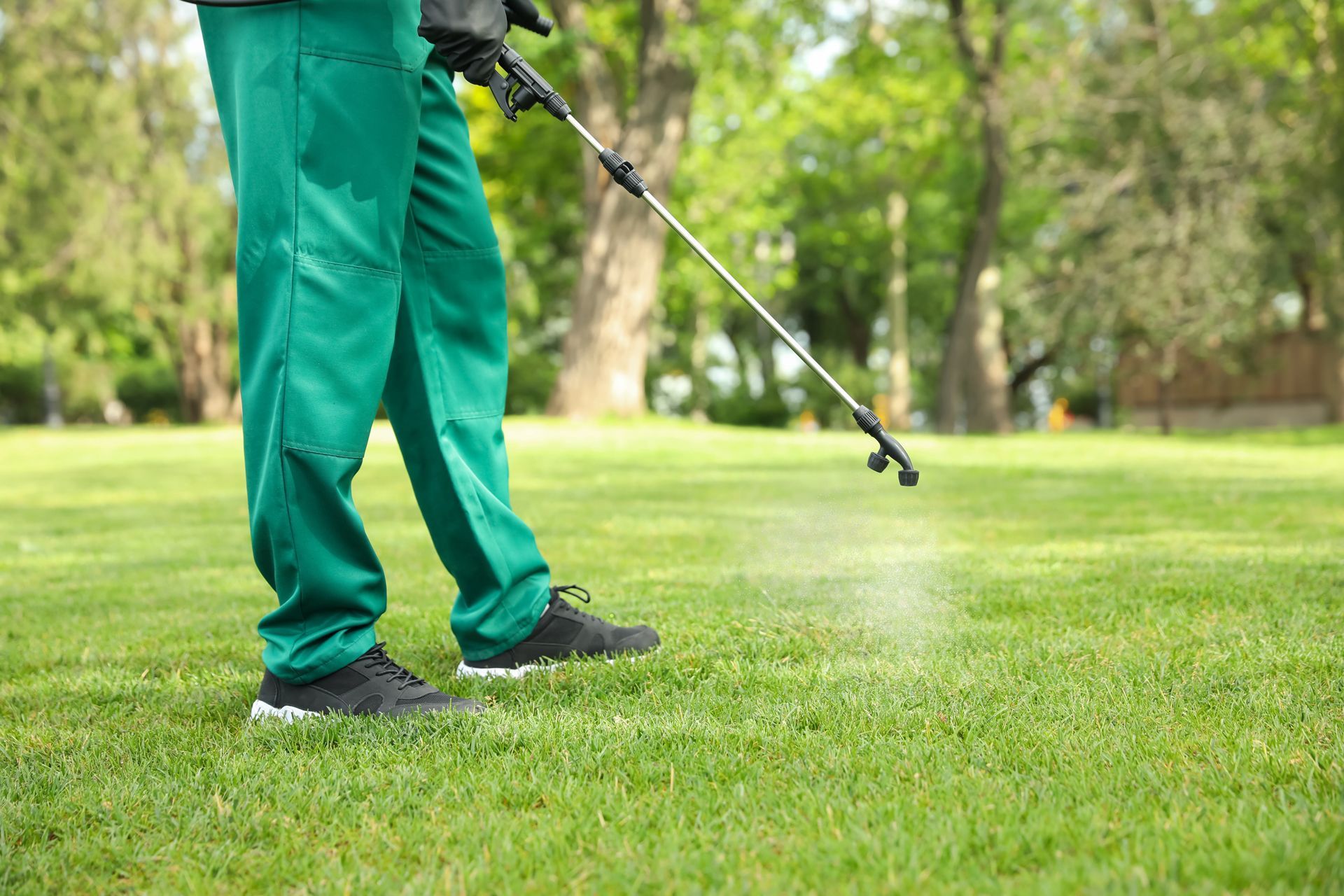 A Person is Spraying a Lawn With a Sprayer