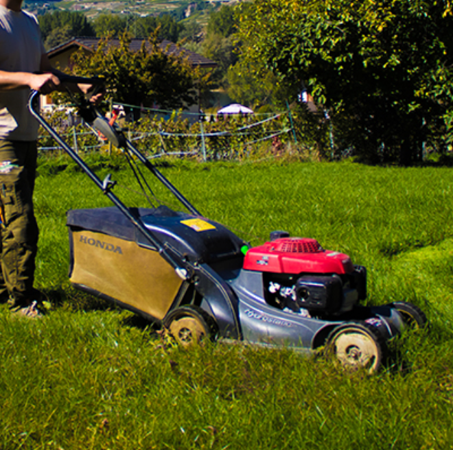Un homme utilise une tondeuse à gazon Honda pour couper l'herbe