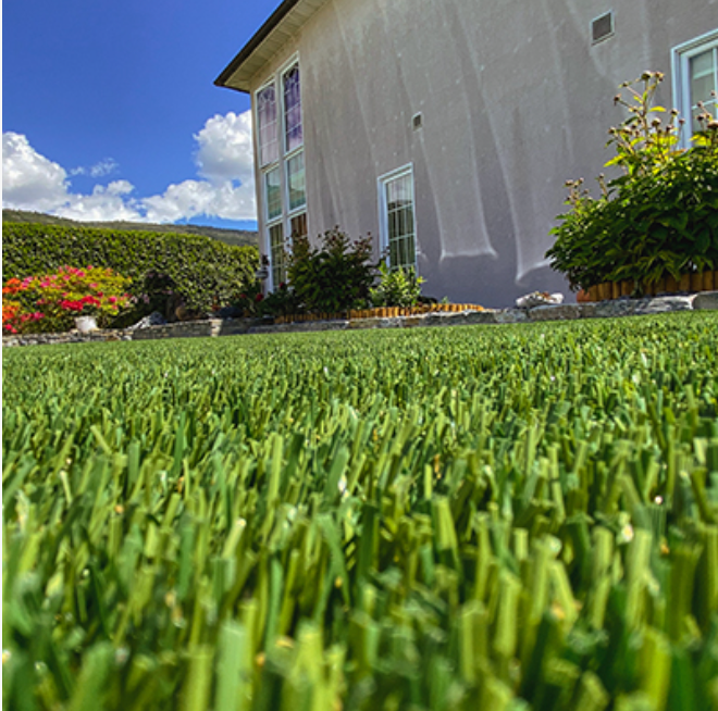Une pelouse verte luxuriante devant une maison par une journée ensoleillée.