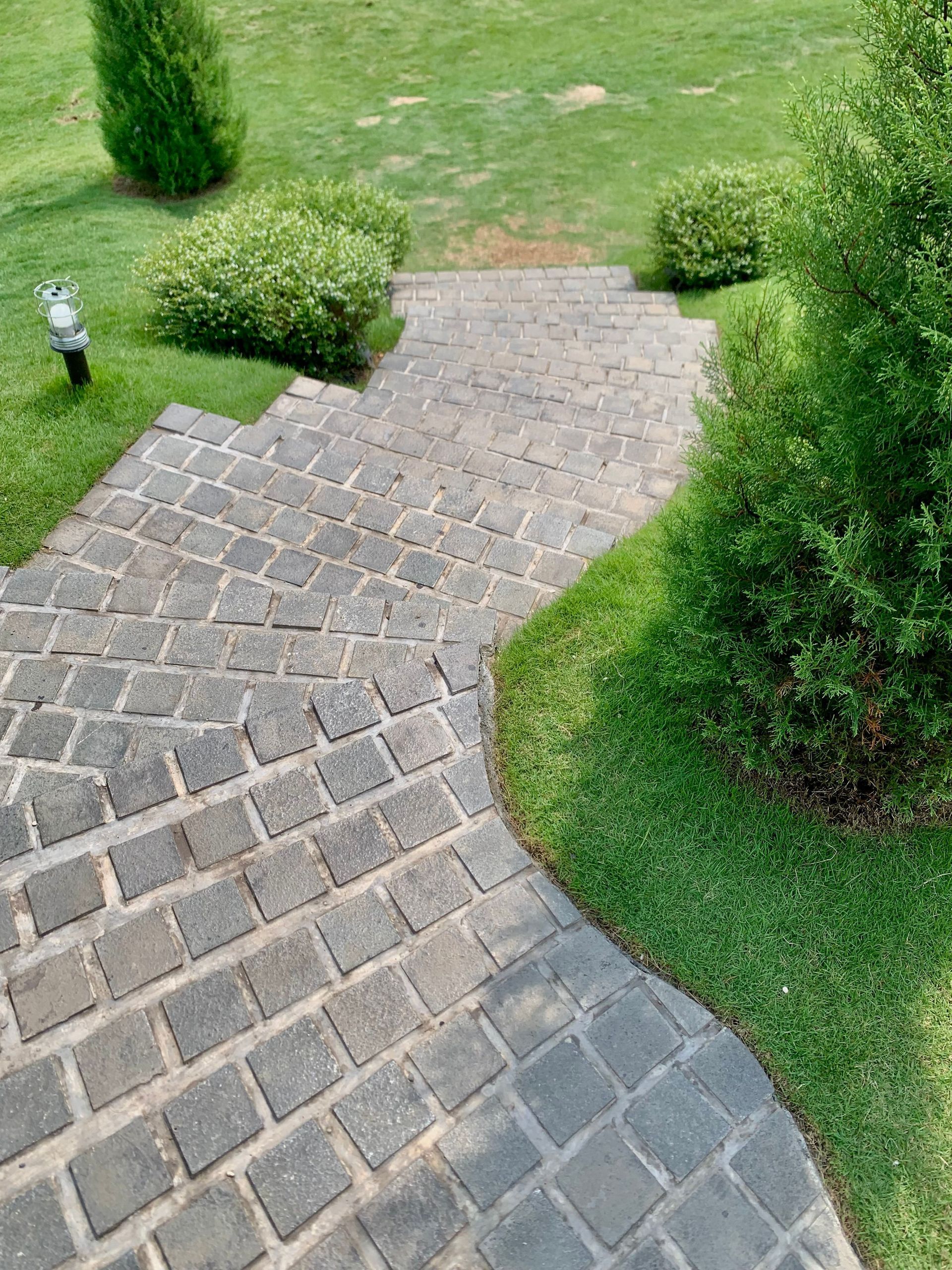 Stone walkway curving through a green garden lawn, bordered by shrubs and a small path light