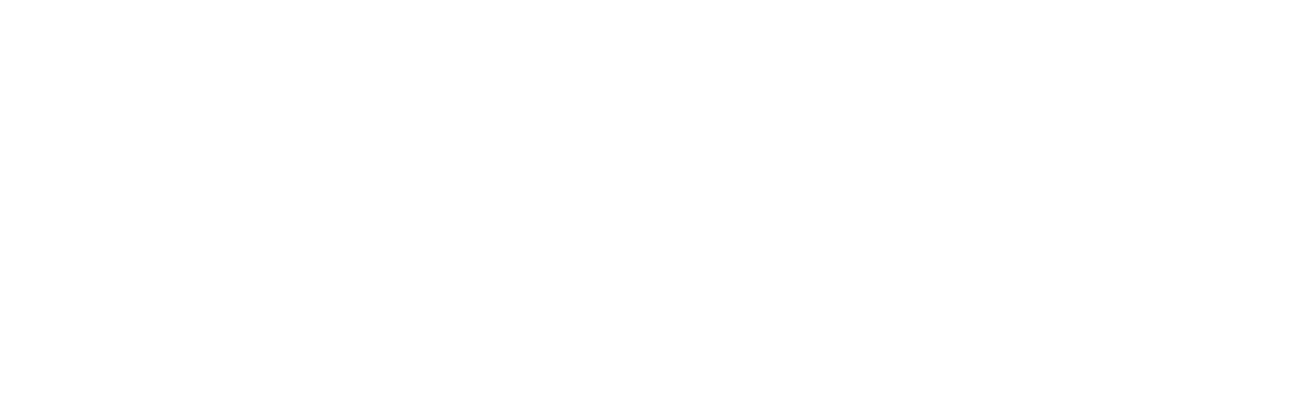 Aircraft Detailing Inc. logo