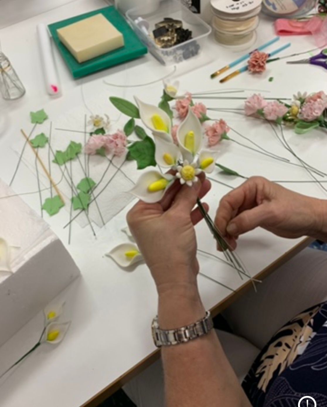 Cake Decorating Classes in Cairns Cake Rescue